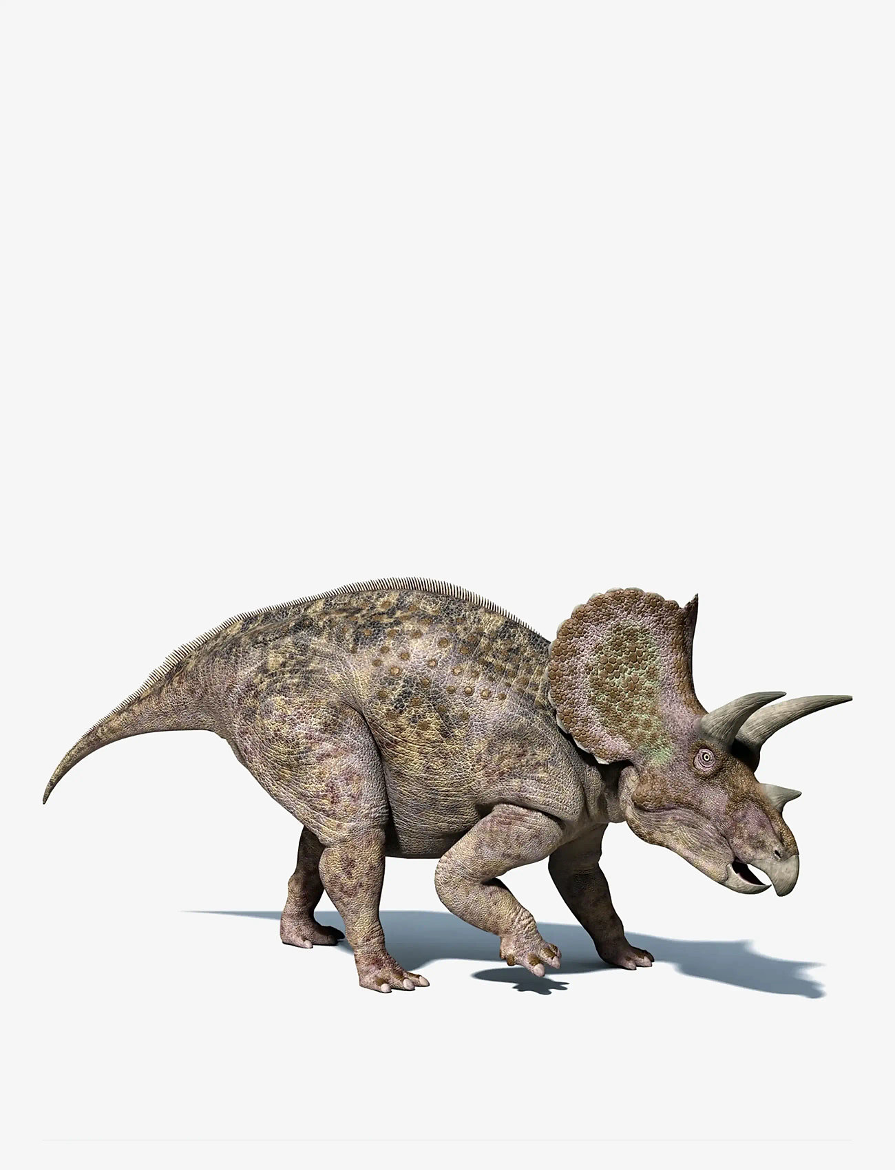 Brainstorm - Brainstorm Dinosaur Torch & Projector - muti - 3