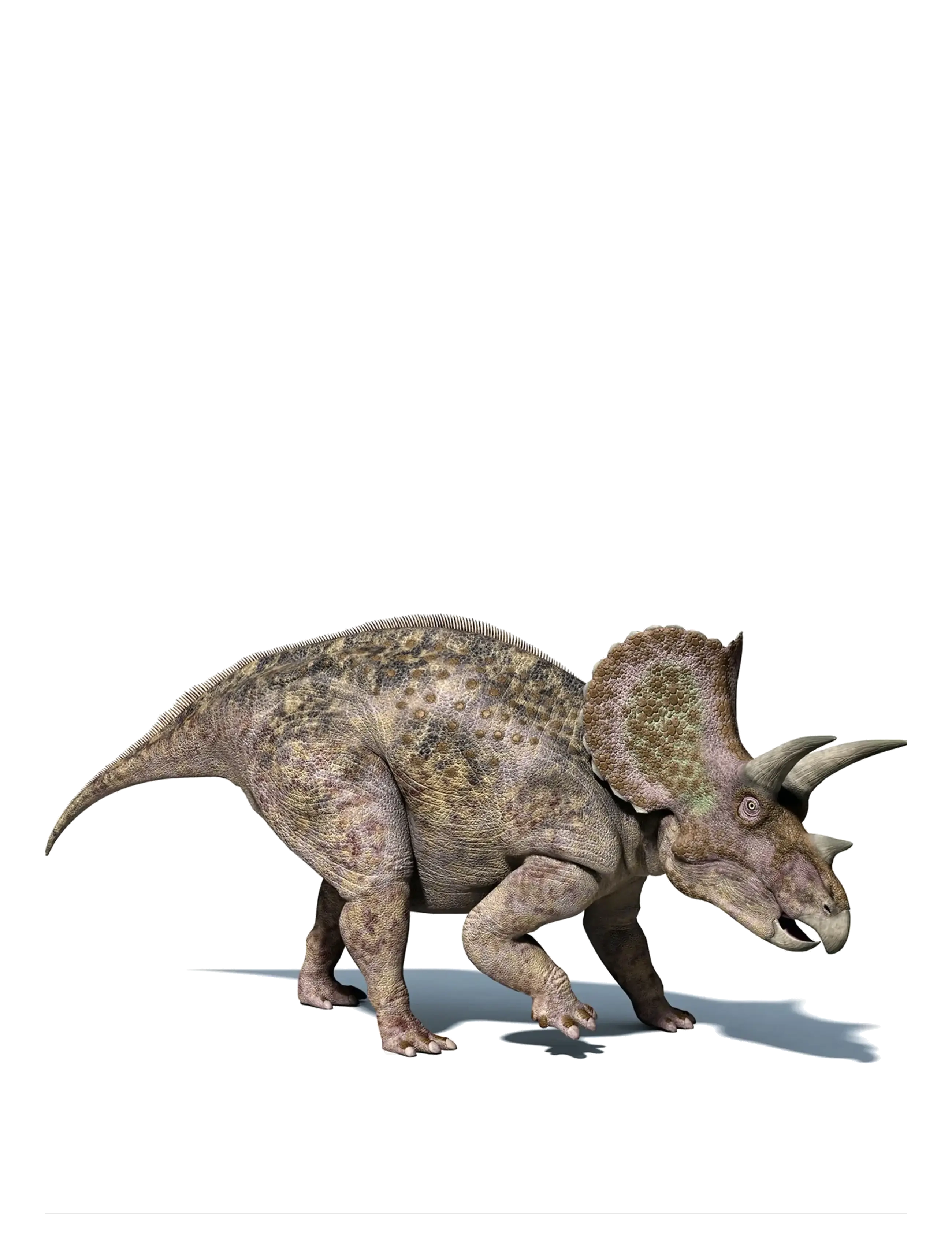 Brainstorm - Brainstorm Dinosaur Torch & Projector - muti - 3