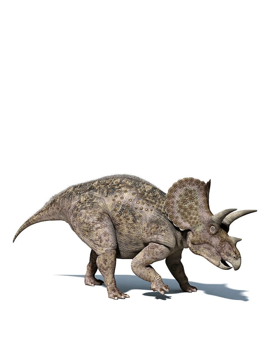 Brainstorm - Brainstorm Dinosaur Torch & Projector - steam-leksaker - muti - 3
