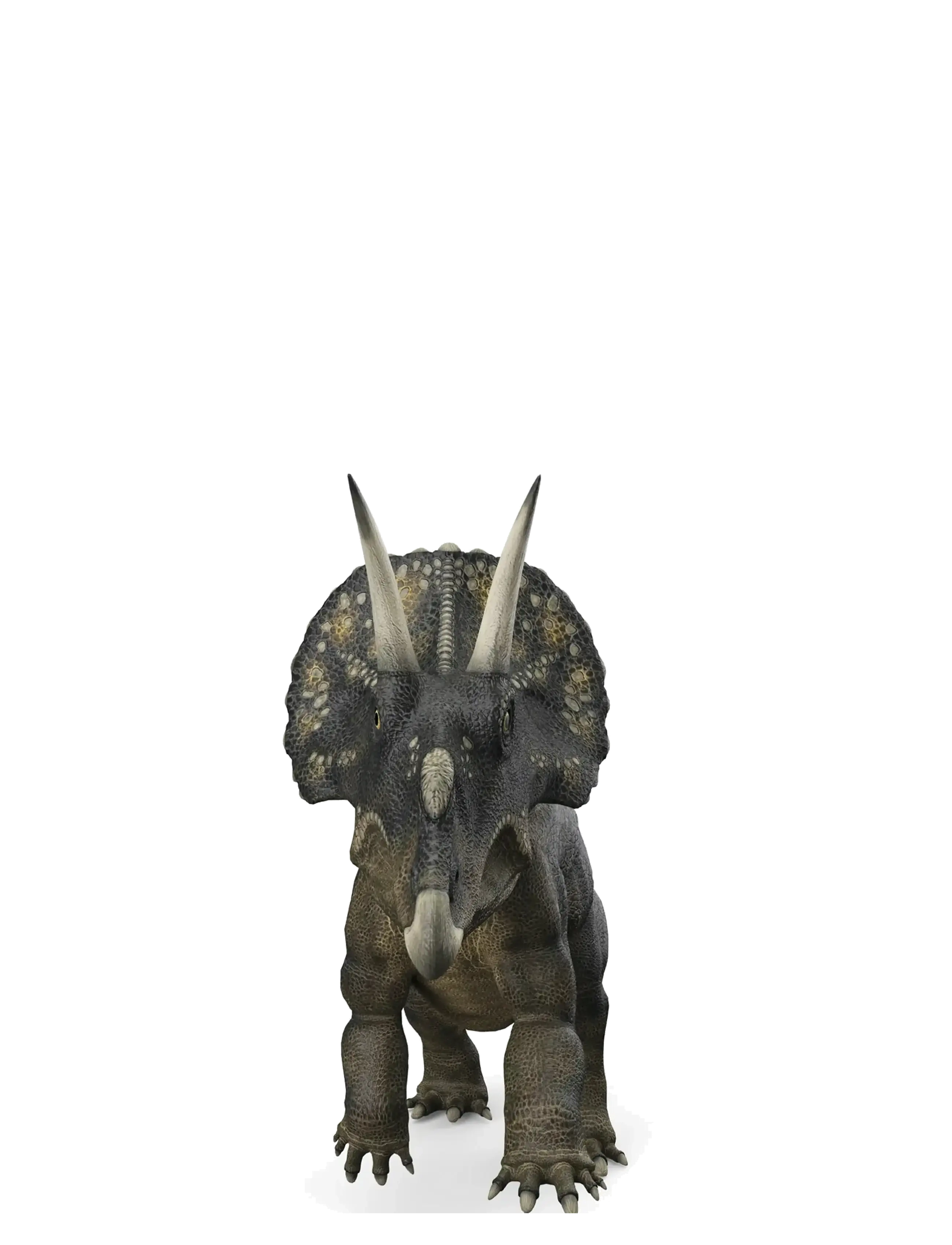 Brainstorm - Brainstorm Dinosaur Torch & Projector - muti - 4