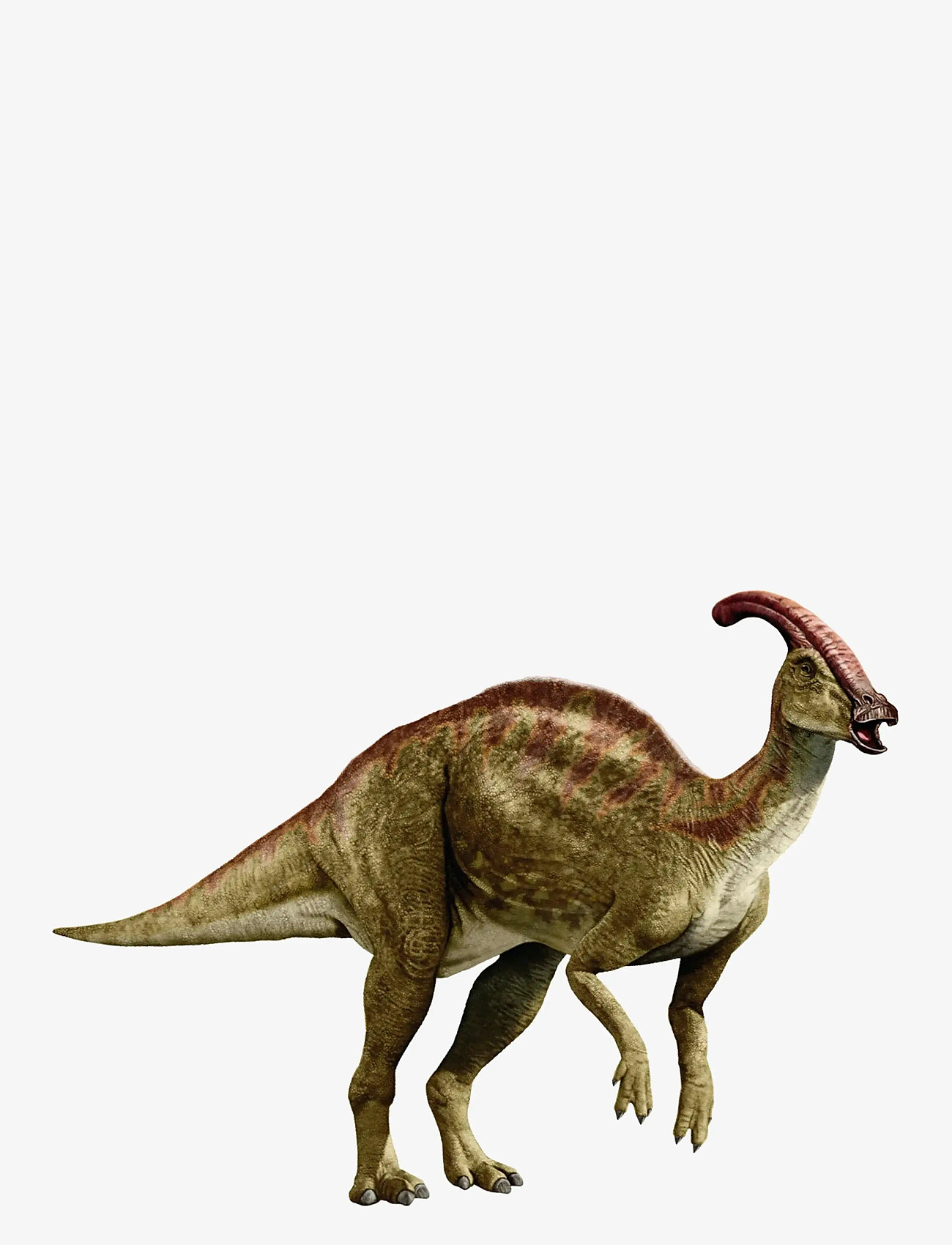 Brainstorm - Brainstorm Dinosaur Torch & Projector - muti - 5