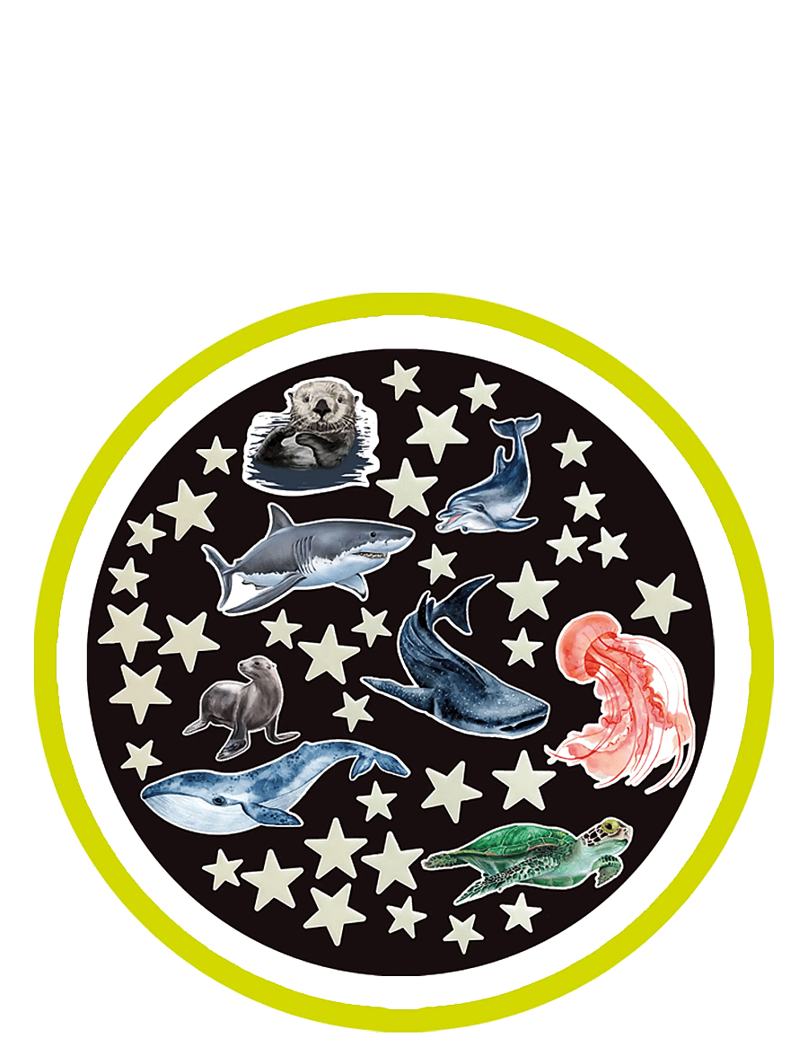 Brainstorm - Brainstorm Glow Stars & Sea Creatures - pysselset - multi - 2
