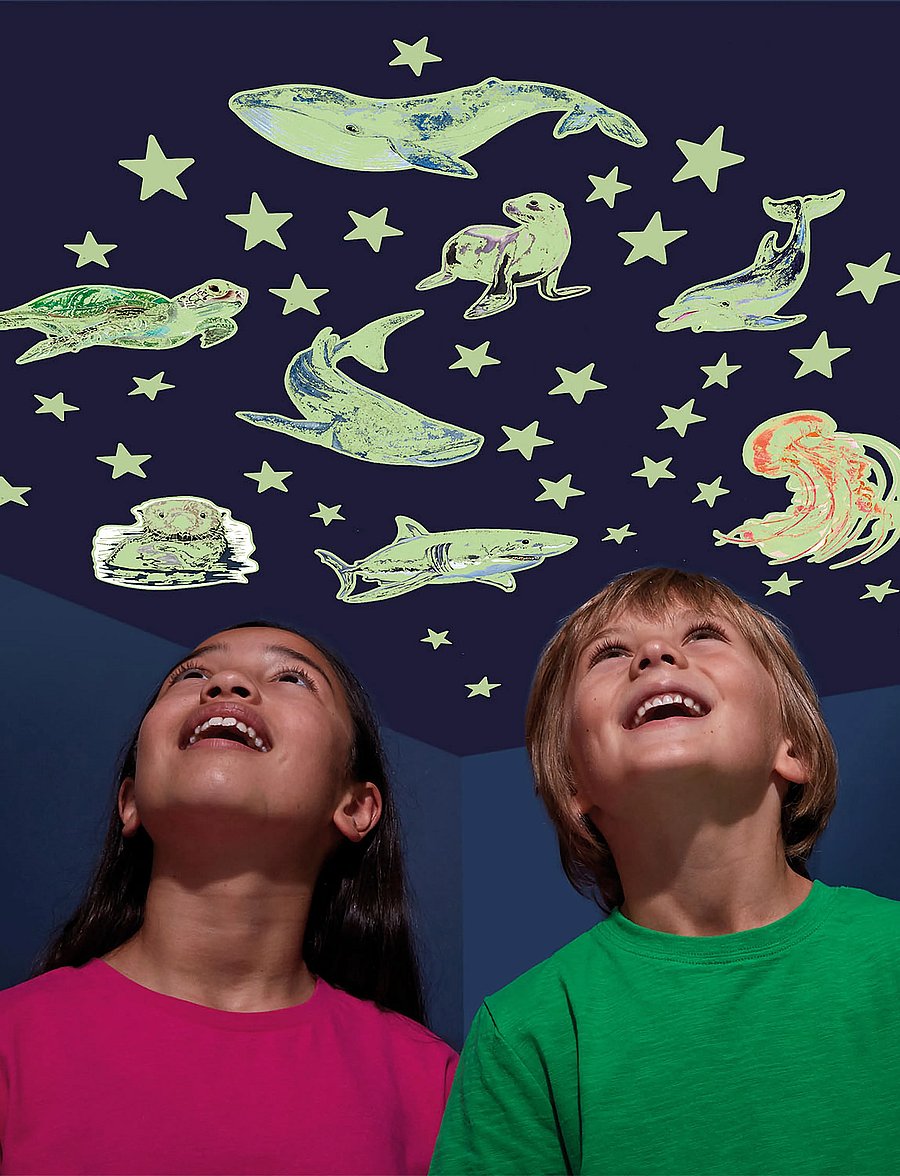 Brainstorm - Brainstorm Glow Stars & Sea Creatures - pysselset - multi - 0