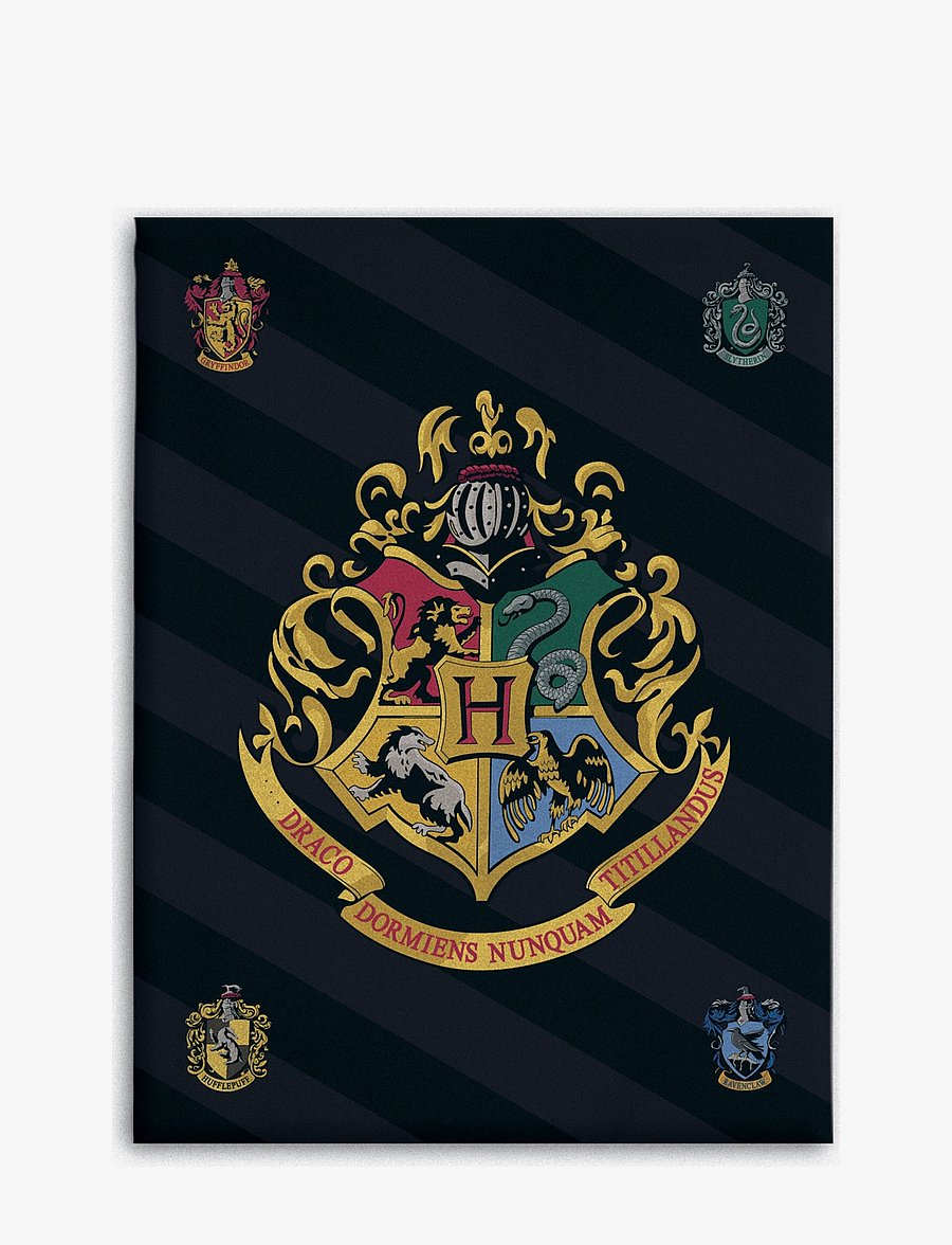 Harry Potter - Fleece plaid Harry Potter HP 067 - 100x140 cm - filtar - multi coloured - 0