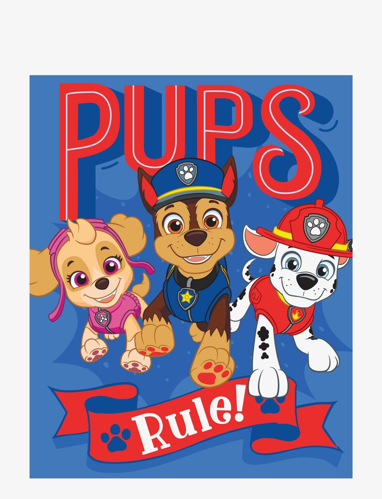 BRANDMAC Fleece Plaid Paw Patrol Pp 1003 Patterned - 130X170CM - Kinder