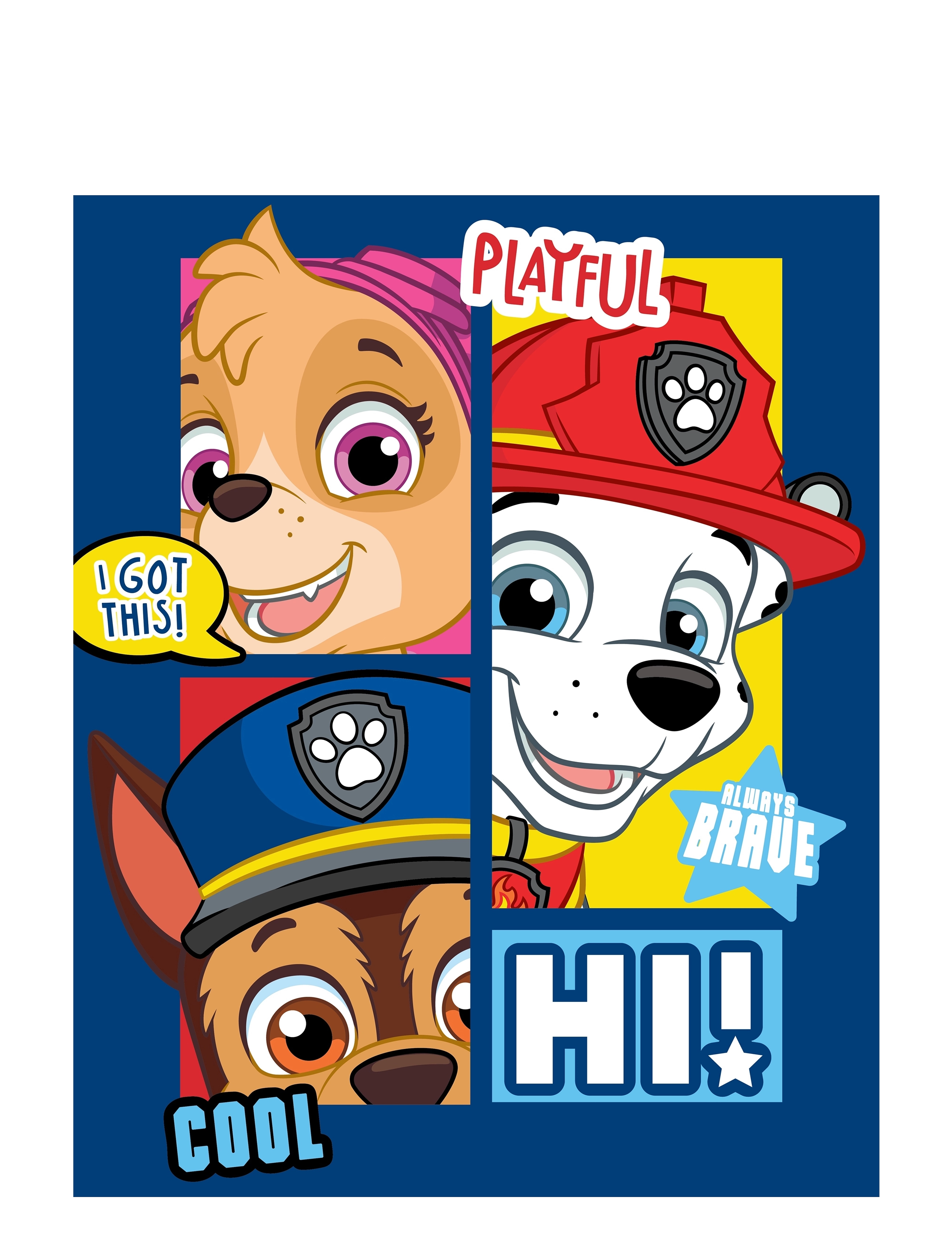 BRANDMAC Fleece Plaid Paw Patrol Pp 1003 C Patterned - 100X140CM - Kinder