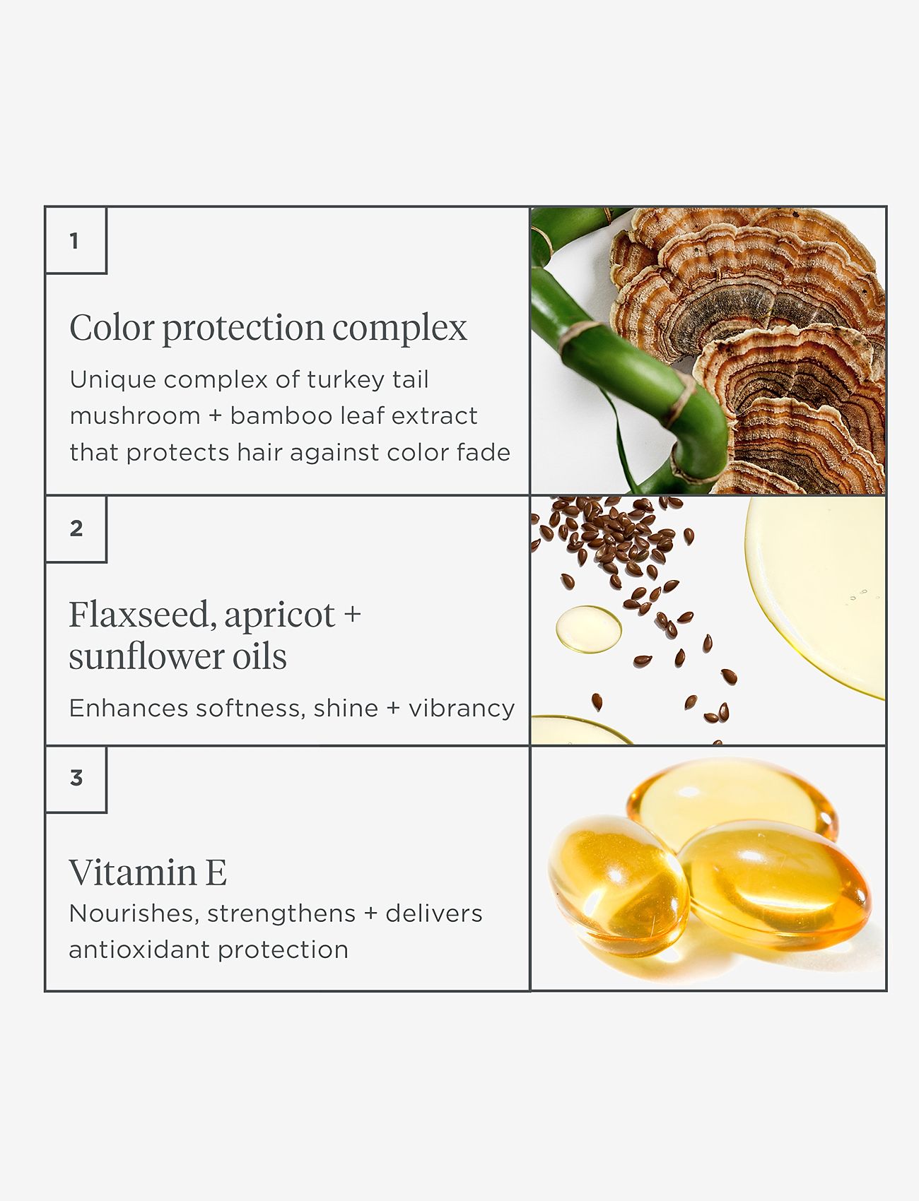 Briogeo - Briogeo Color Me Brilliant™ Mushroom + Bamboo Color Protect Primer 100ml - värinaamiot - clear - 4