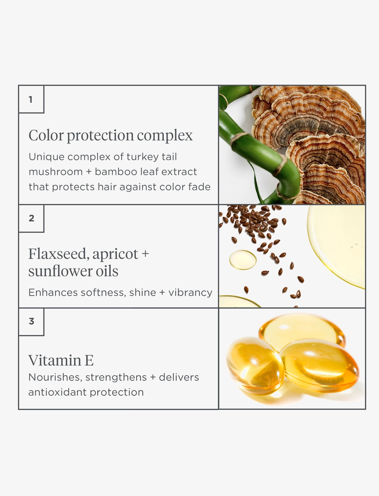 Briogeo - Briogeo Color Me Brilliant™ Mushroom + Bamboo Color Protect Shampoo 236ml - clear - 4