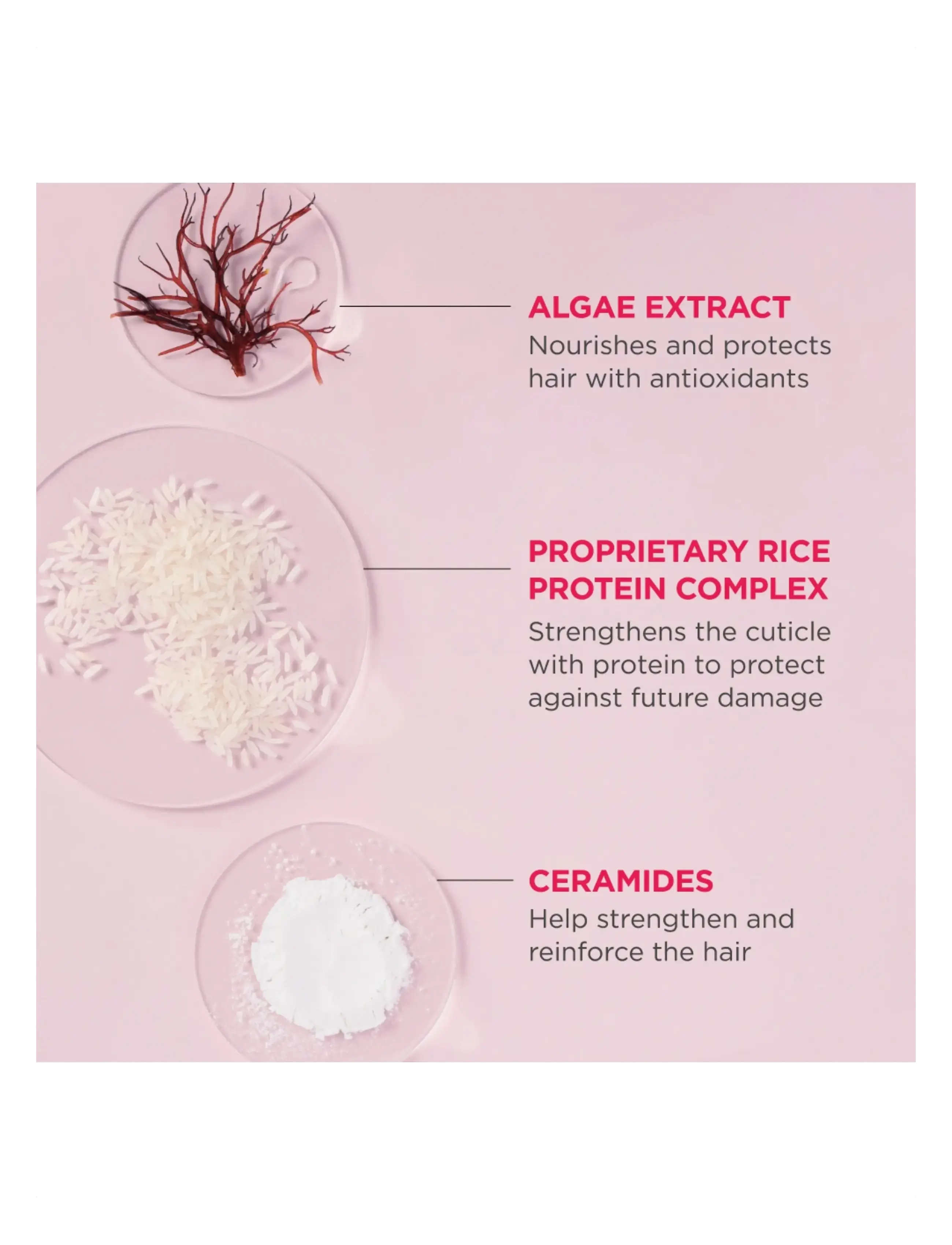 Briogeo - Briogeo Don't Despair, Repair!™ MegaStrength+ Rich Rice Shampoo Concentrate 90ml - shampoo - clear - 4