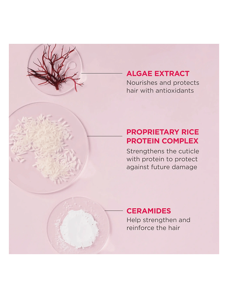 Briogeo - Briogeo Don't Despair, Repair!™ MegaStrength+ Rich Rice Shampoo Concentrate 90ml - shampoo - clear - 4