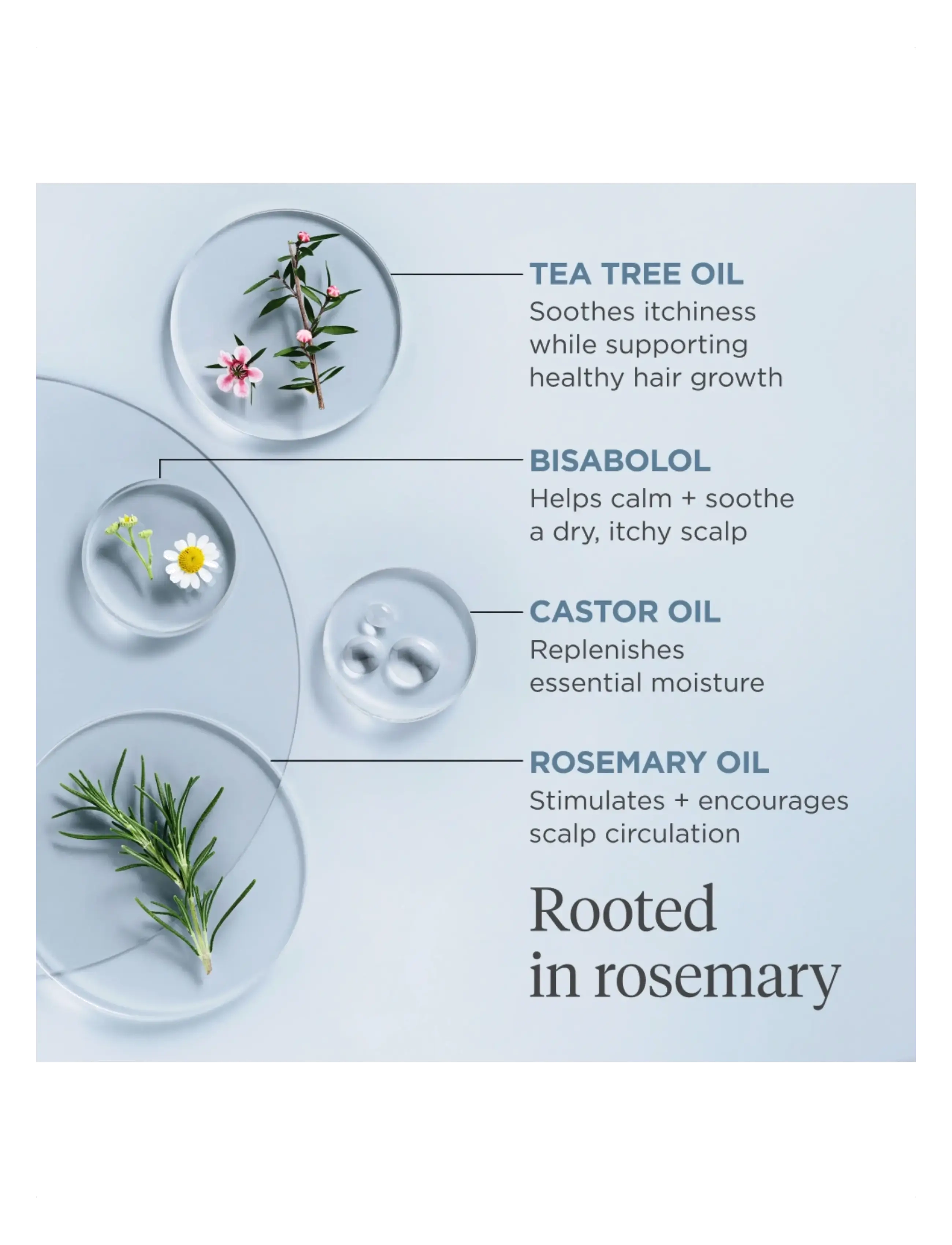 Briogeo - Briogeo Scalp Revival™ Rosemary Pre-Wash Oil 100ml - scalp treatment - clear - 3