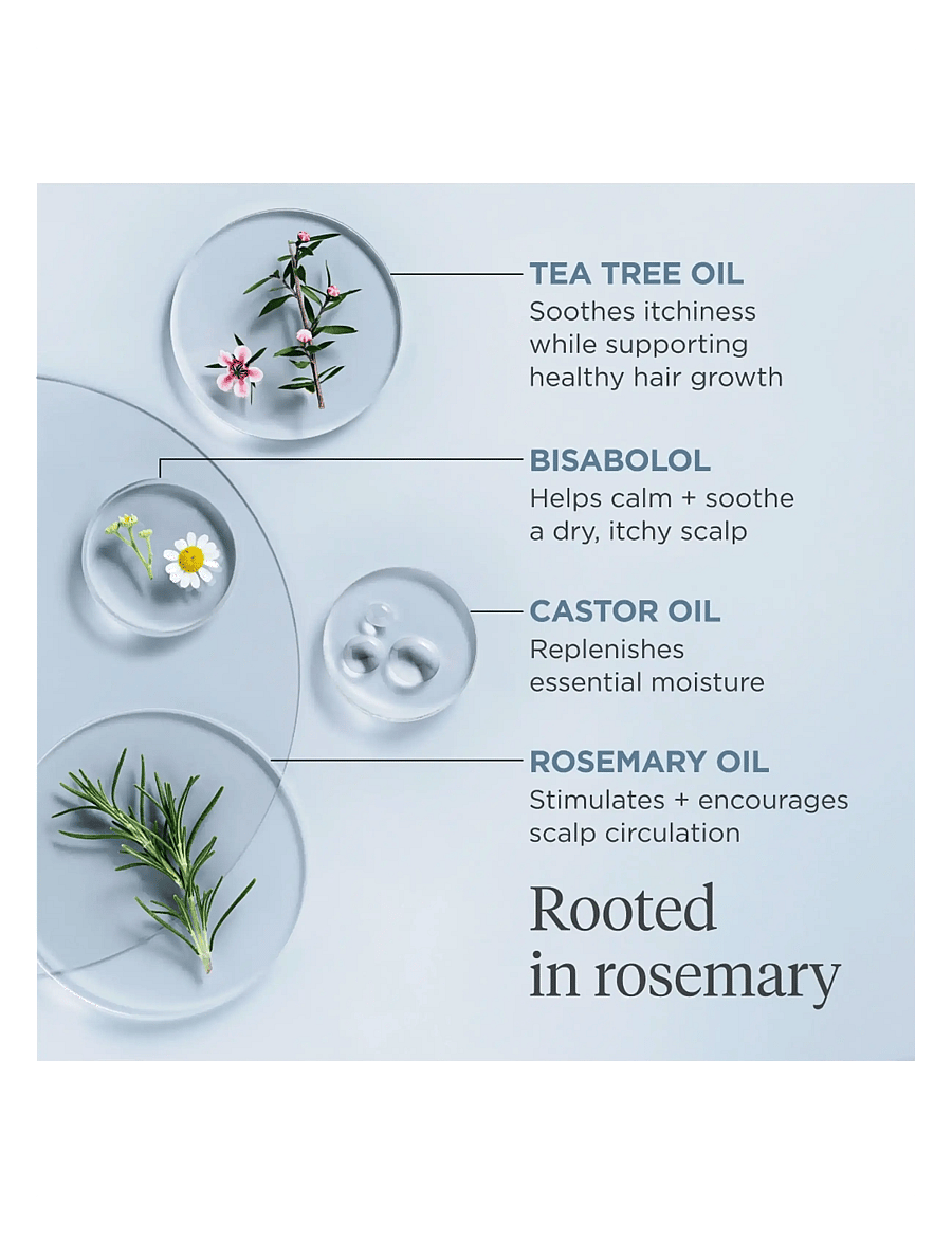 Briogeo - Briogeo Scalp Revival™ Rosemary Pre-Wash Oil 100ml - scalp treatment - clear - 3