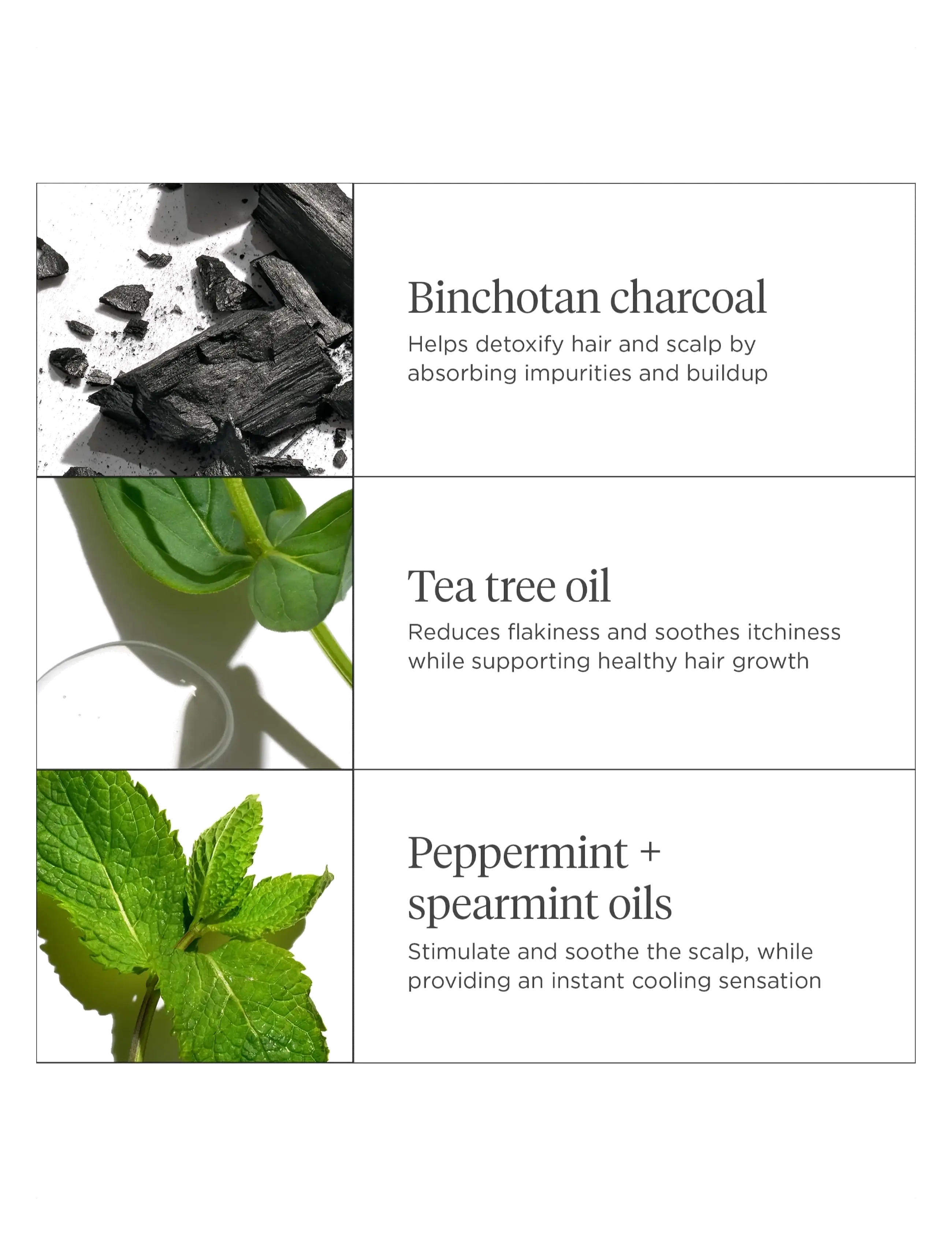 Briogeo - Briogeo Scalp Revival™ Charcoal + Tea Tree Cooling Hydration Scalp Mask 177ml - hårmasker - clear - 2