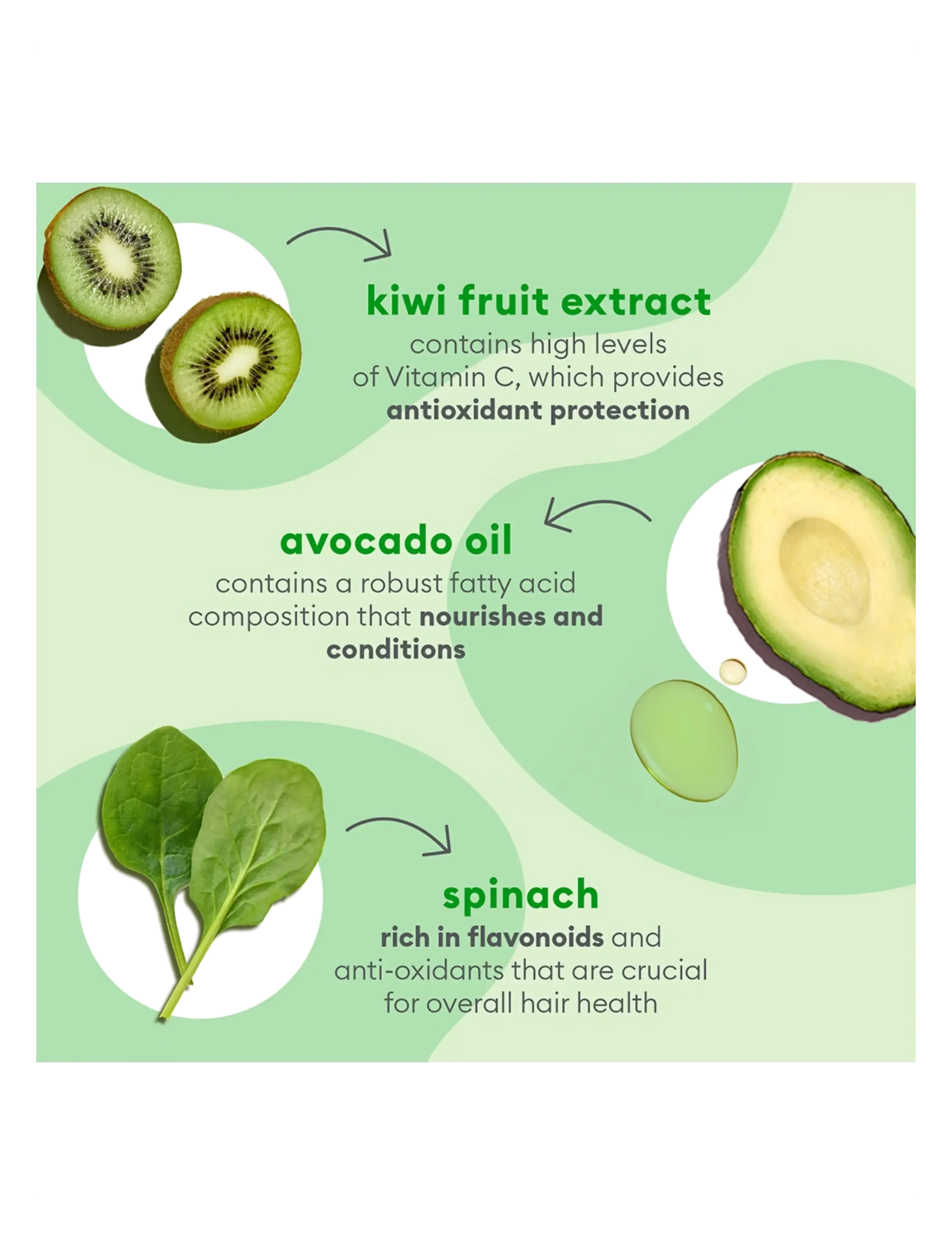 Briogeo - Briogeo Superfoods™ Avocado + Kiwi Mega Moisture Mask 240ml - hårkur - clear - 3