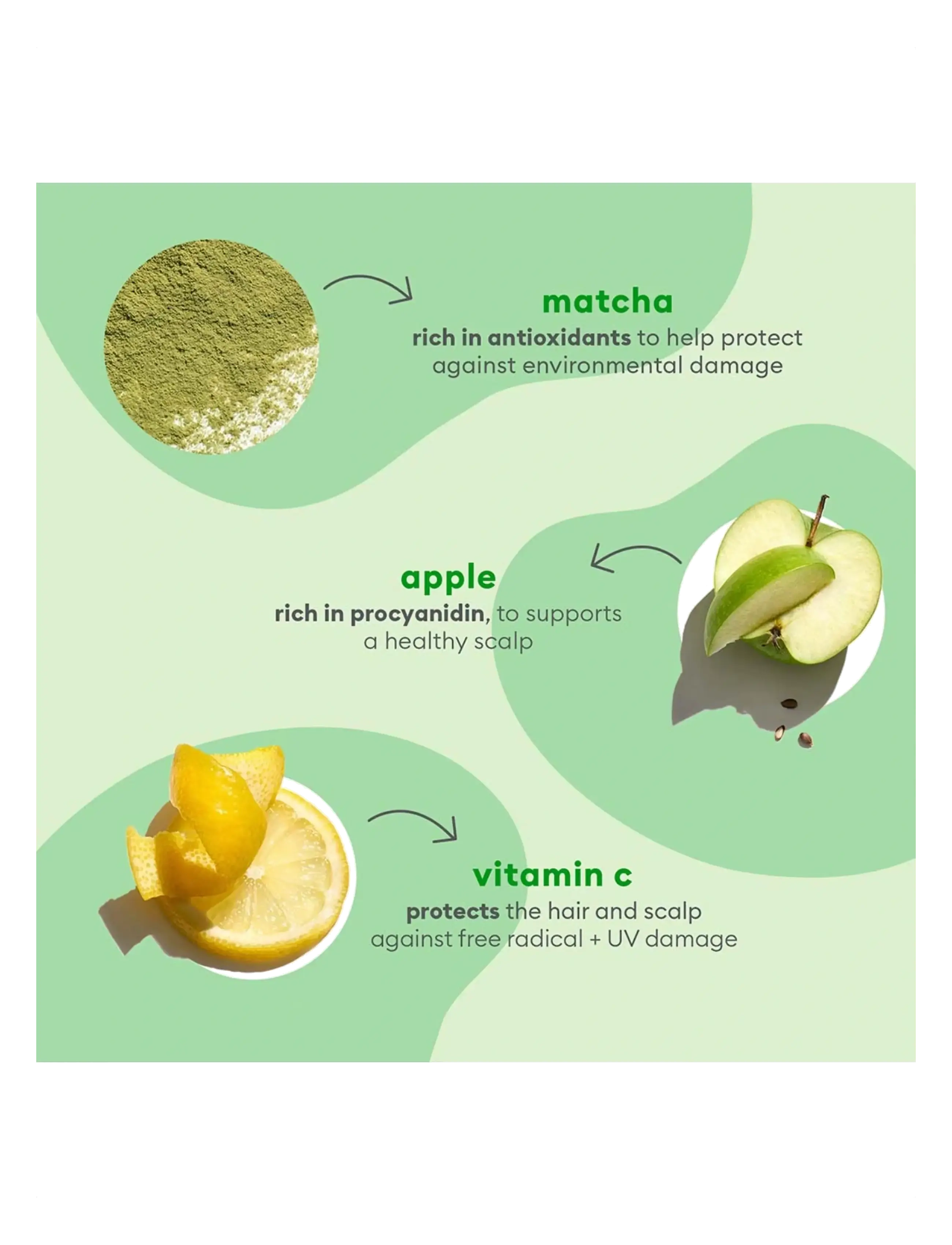 Briogeo - Briogeo Superfoods™ Matcha + Apple Replenishing Shampoo 369ml - shampoot - clear - 2