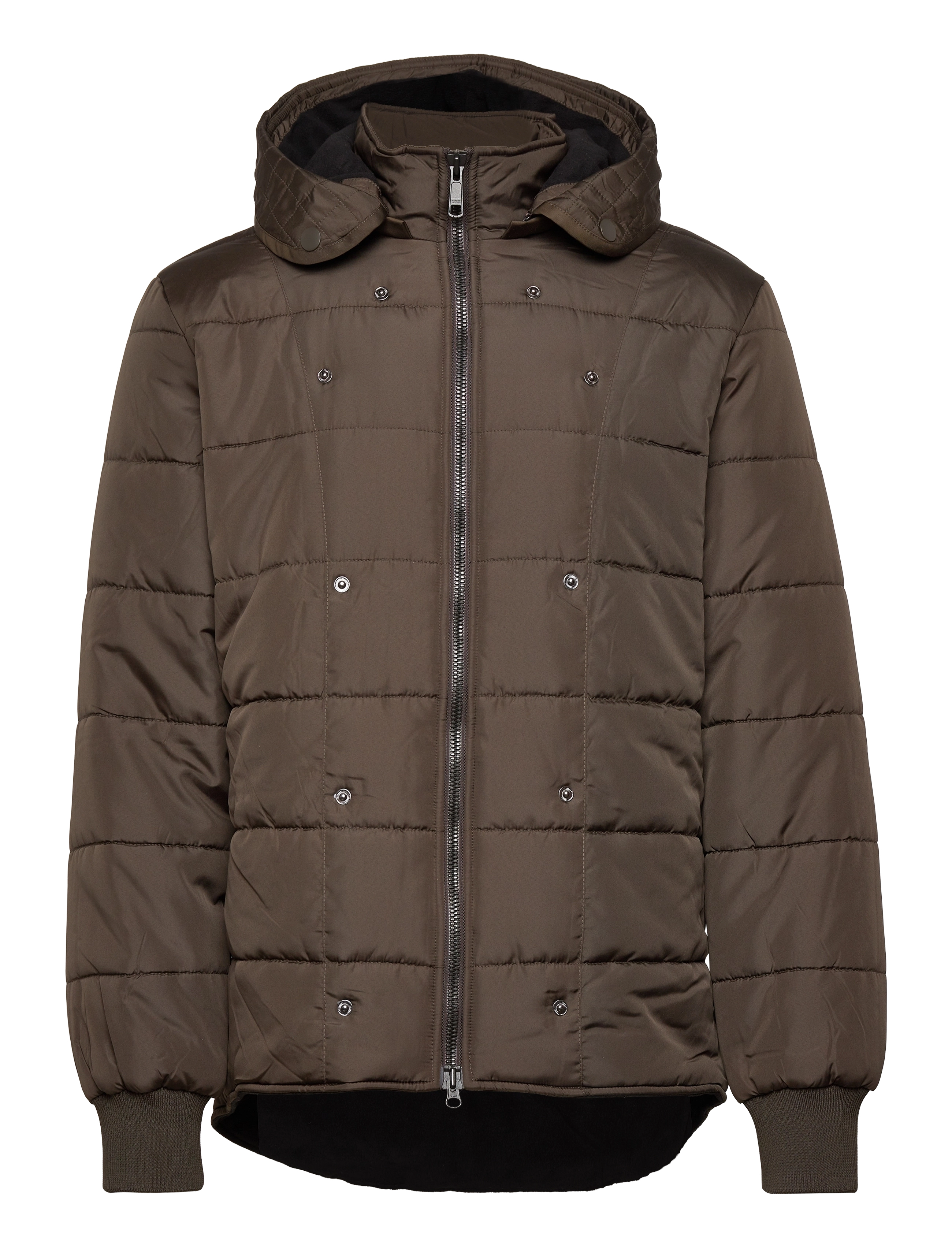 Brixtol Textiles - Livingstone - olive - 3
