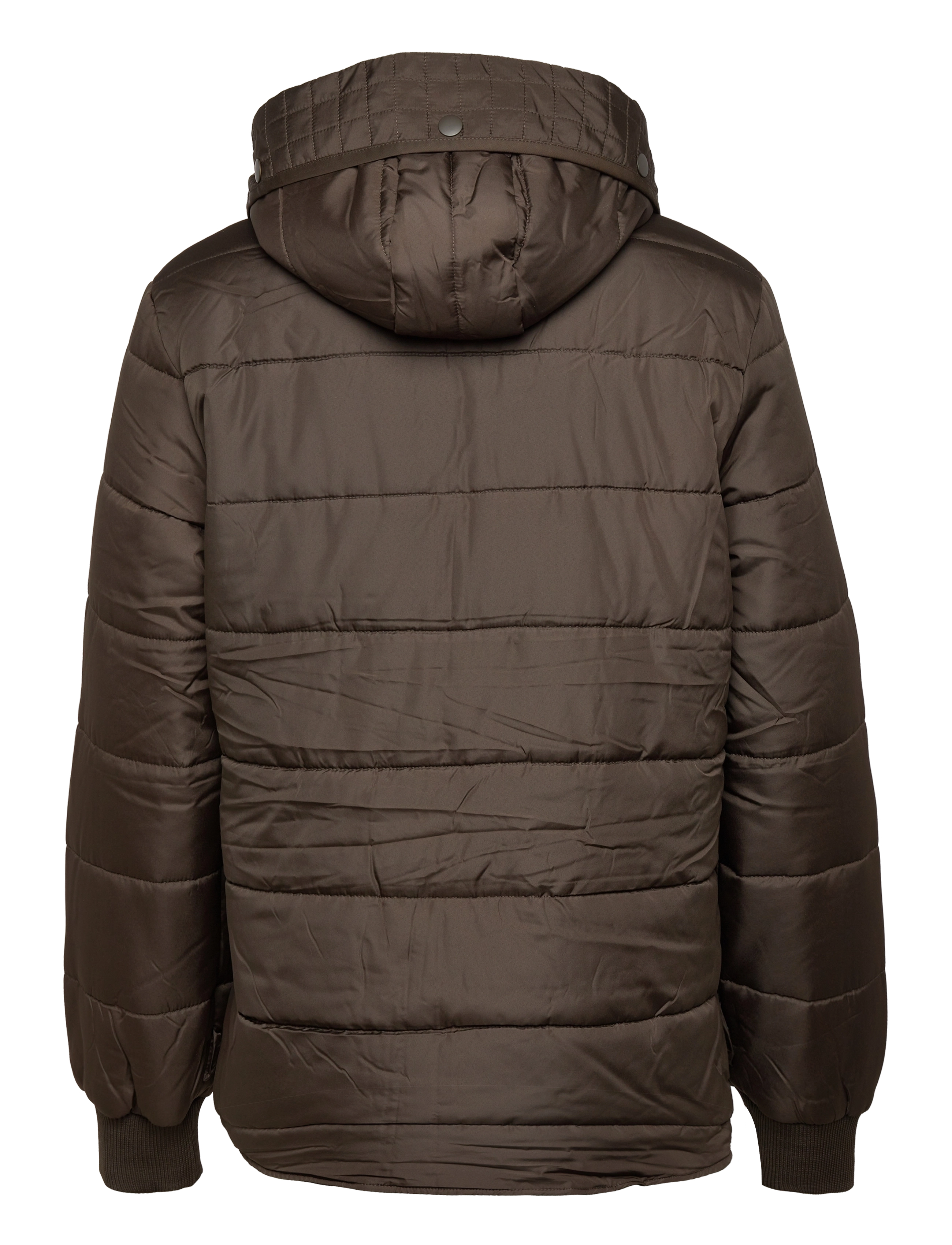 Brixtol Textiles - Livingstone - olive - 4