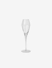 Champagne glass Sandvig - CLEAR