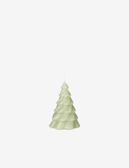 Pinus Christmas Tree Candle - LIGHT DUSTY GREEN