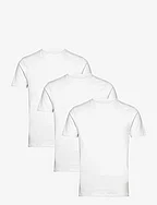 BS Antiqua Regular Fit T-Shirt - WHITE