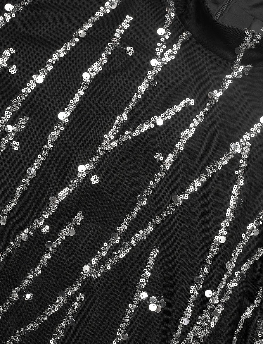 Bruuns Bazaar - DaffiBBIgnaras blouse - langærmede bluser - black w silver - 2