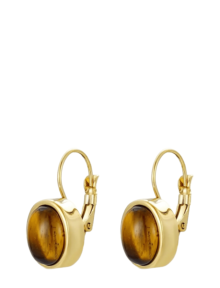 Bud To Rose - Retro Earring Brown/Gold - statement øreringe - gold - 1