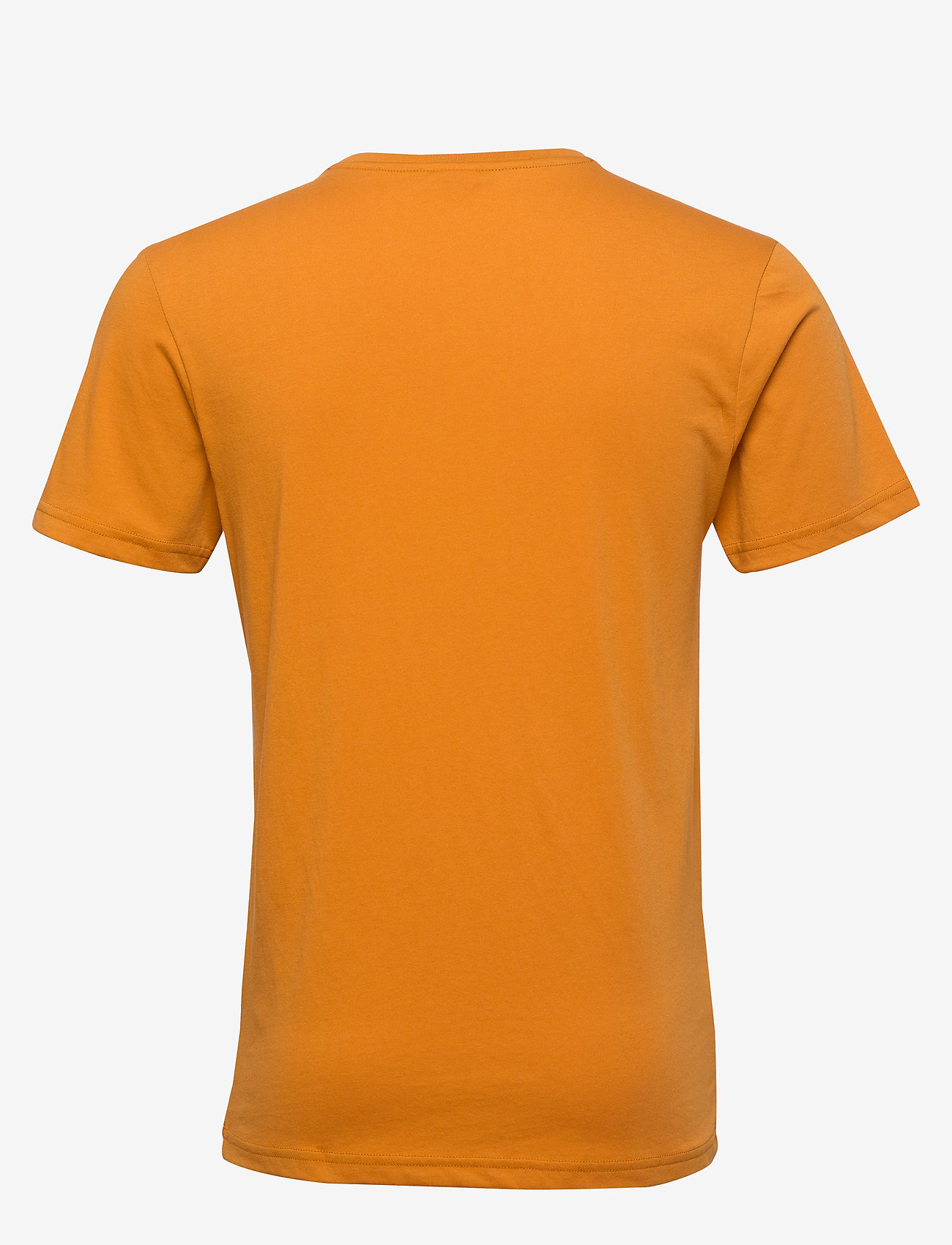 Bula - Hike Tee - okra - 1