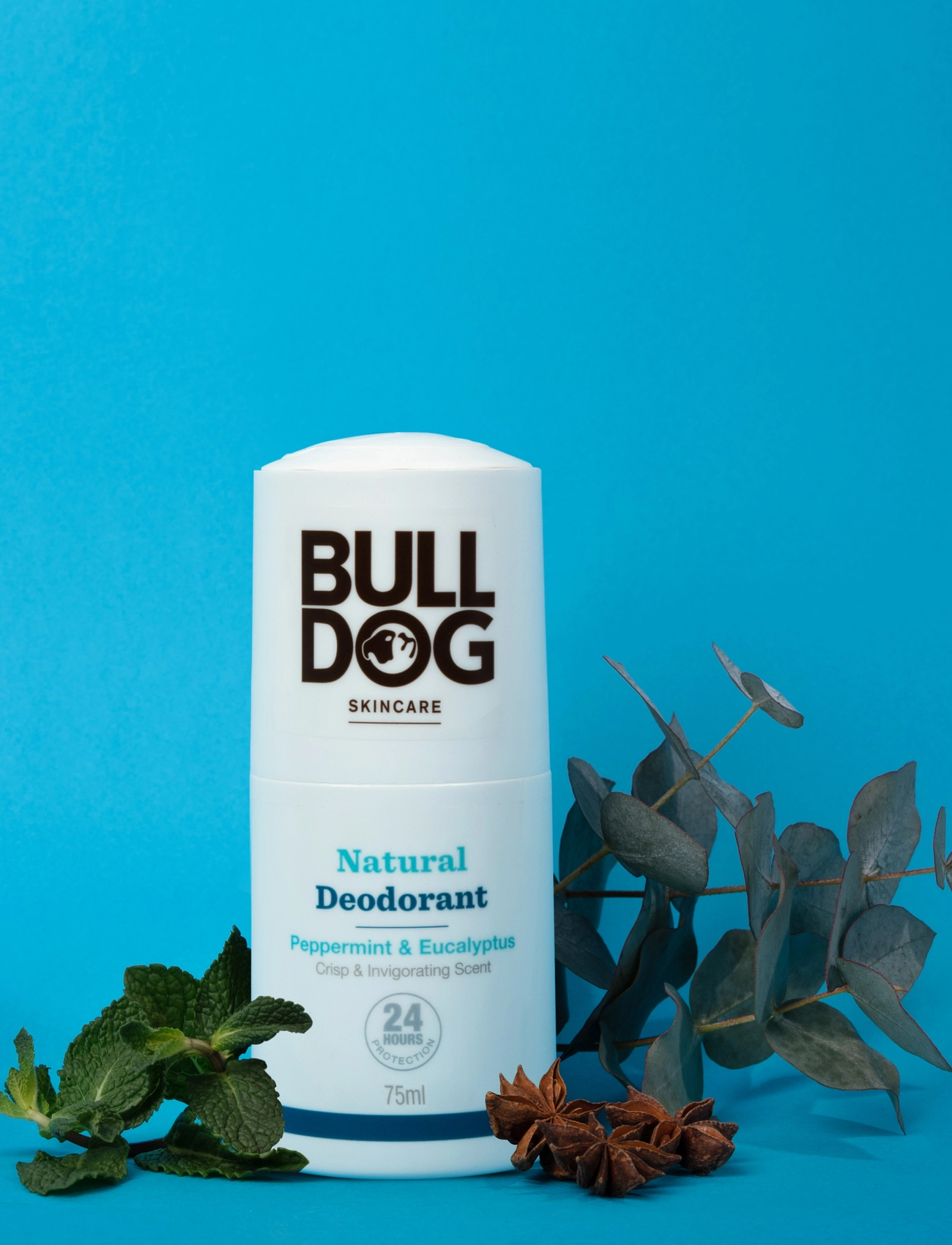 Bulldog - Peppermint & Eucalyptus Deodorant 75 ml - deostifter - clear - 2
