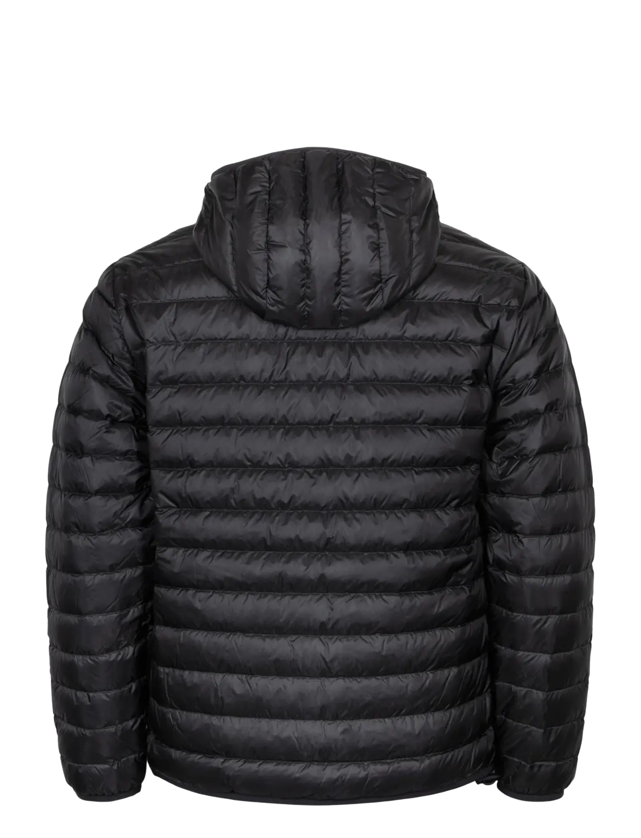 Burberry - Feltam Down Jacket - höstjackor - black - 1