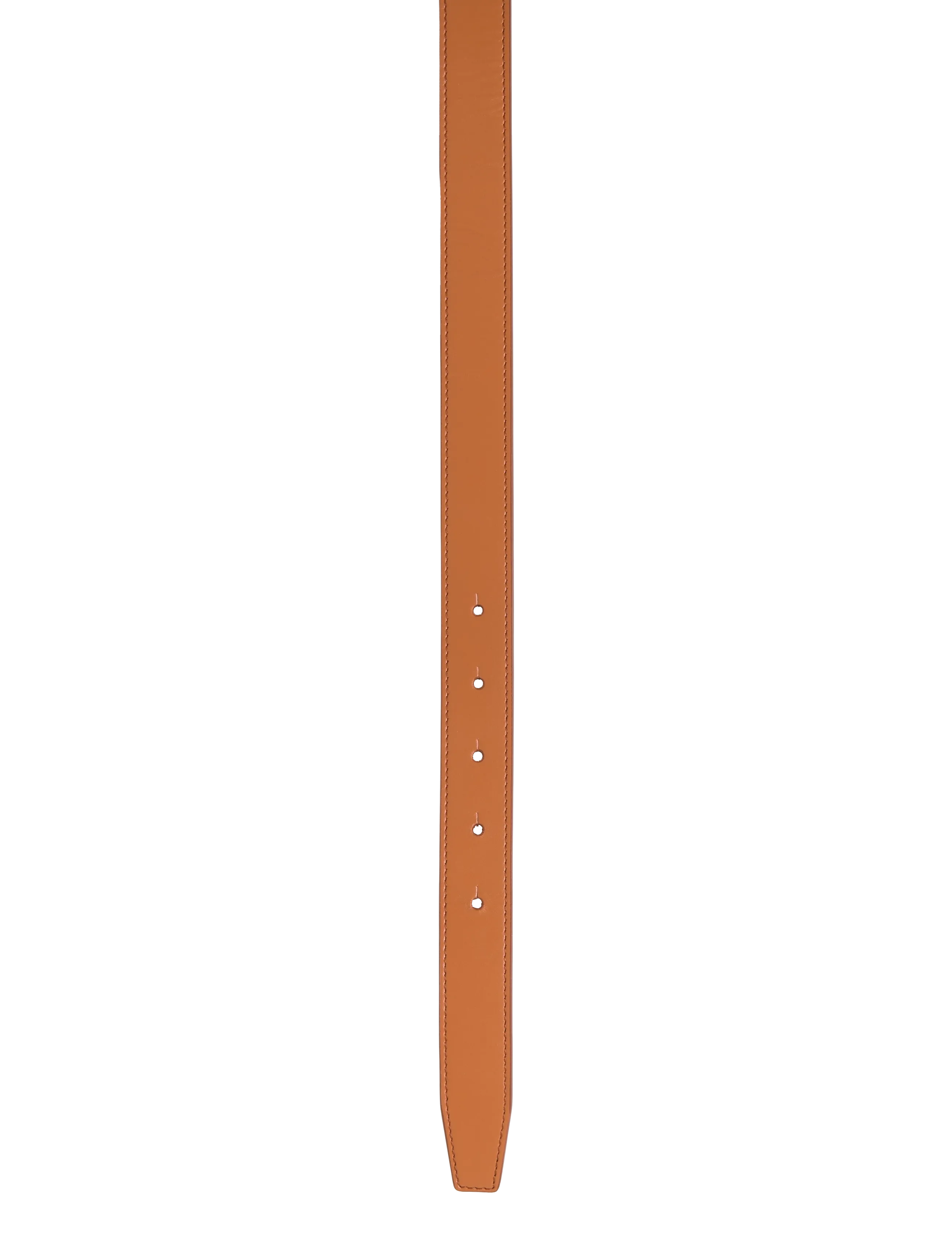 Lb Circ Icon 25Mm Belt 3