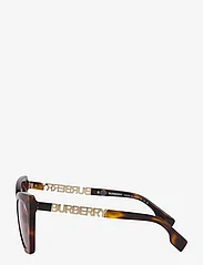 Burberry Sunglasses - MARIANNE - kaķacs formas - light havana - 2