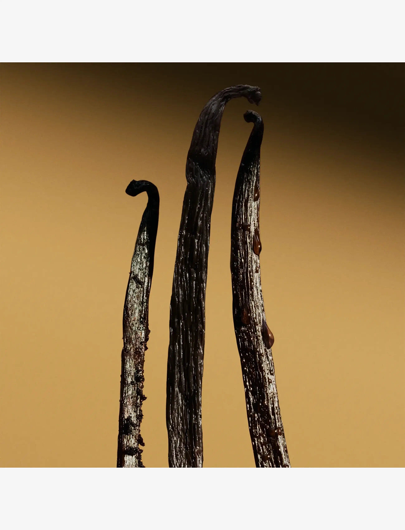 Burberry Fragrance - Goddess Parfum - parfumer - clear - 4