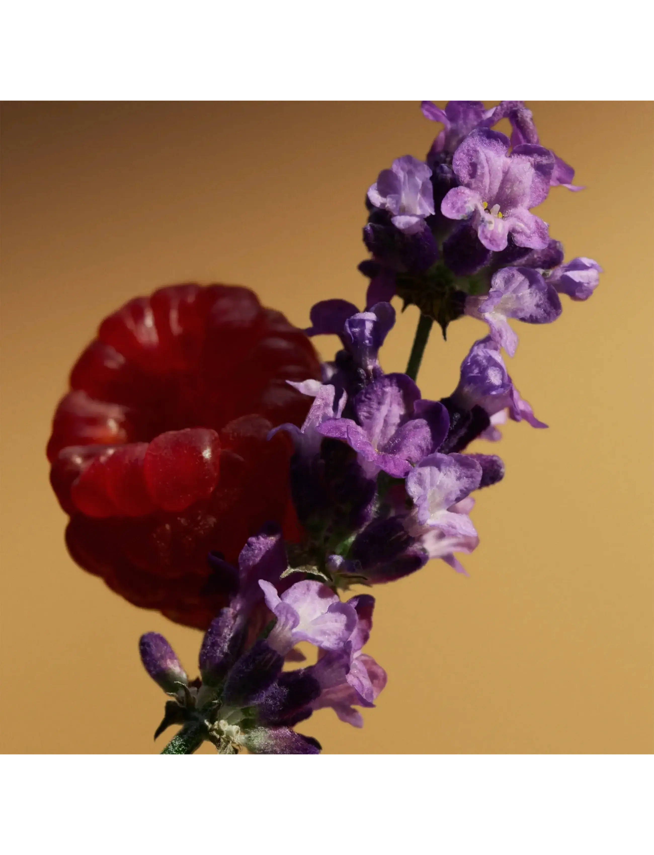 Goddess Parfum 6