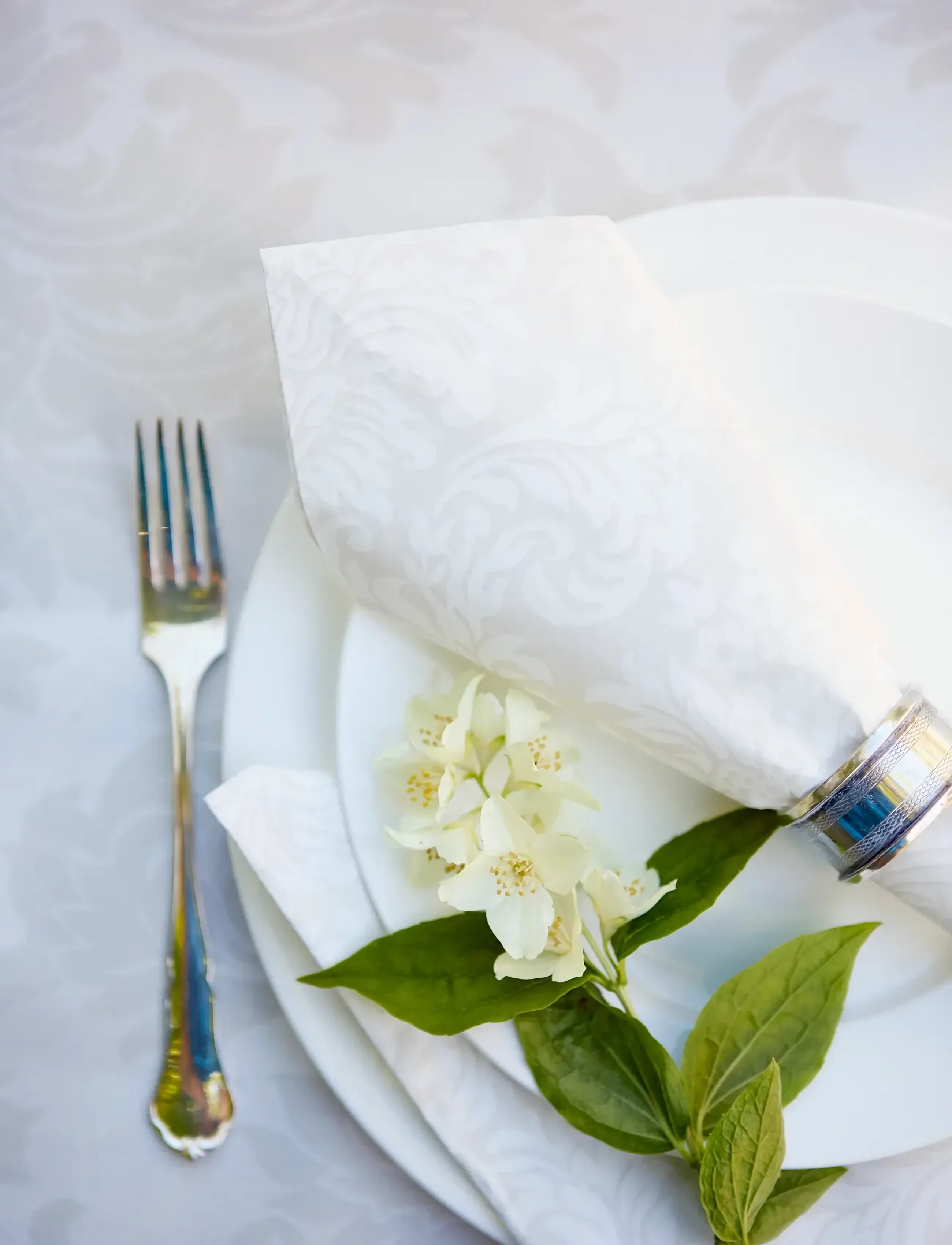 Havi Napkin Viktoria, 33X33 cm, Napkins, Beige - Paper Unisex