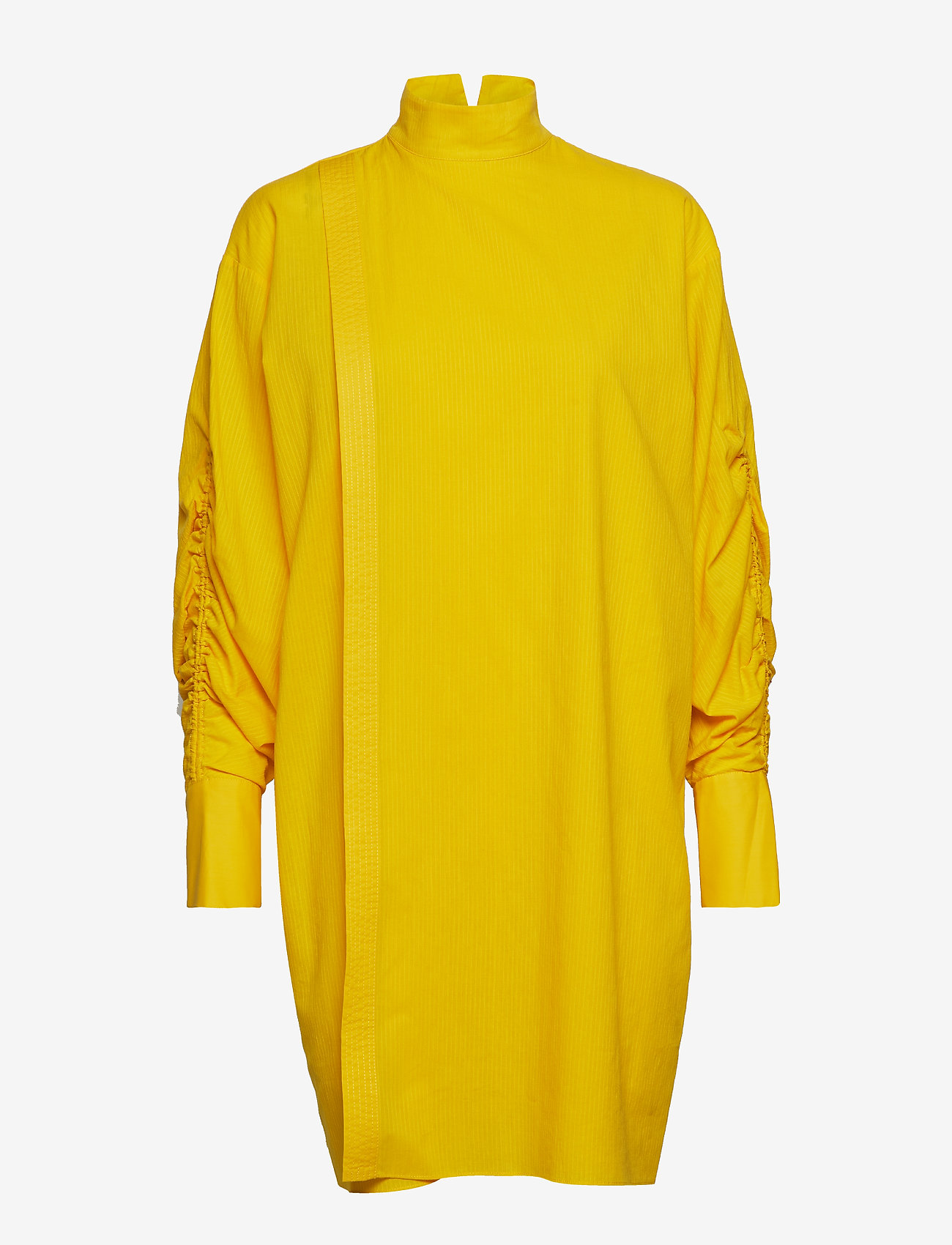 DRE1037S91 - DANDELION