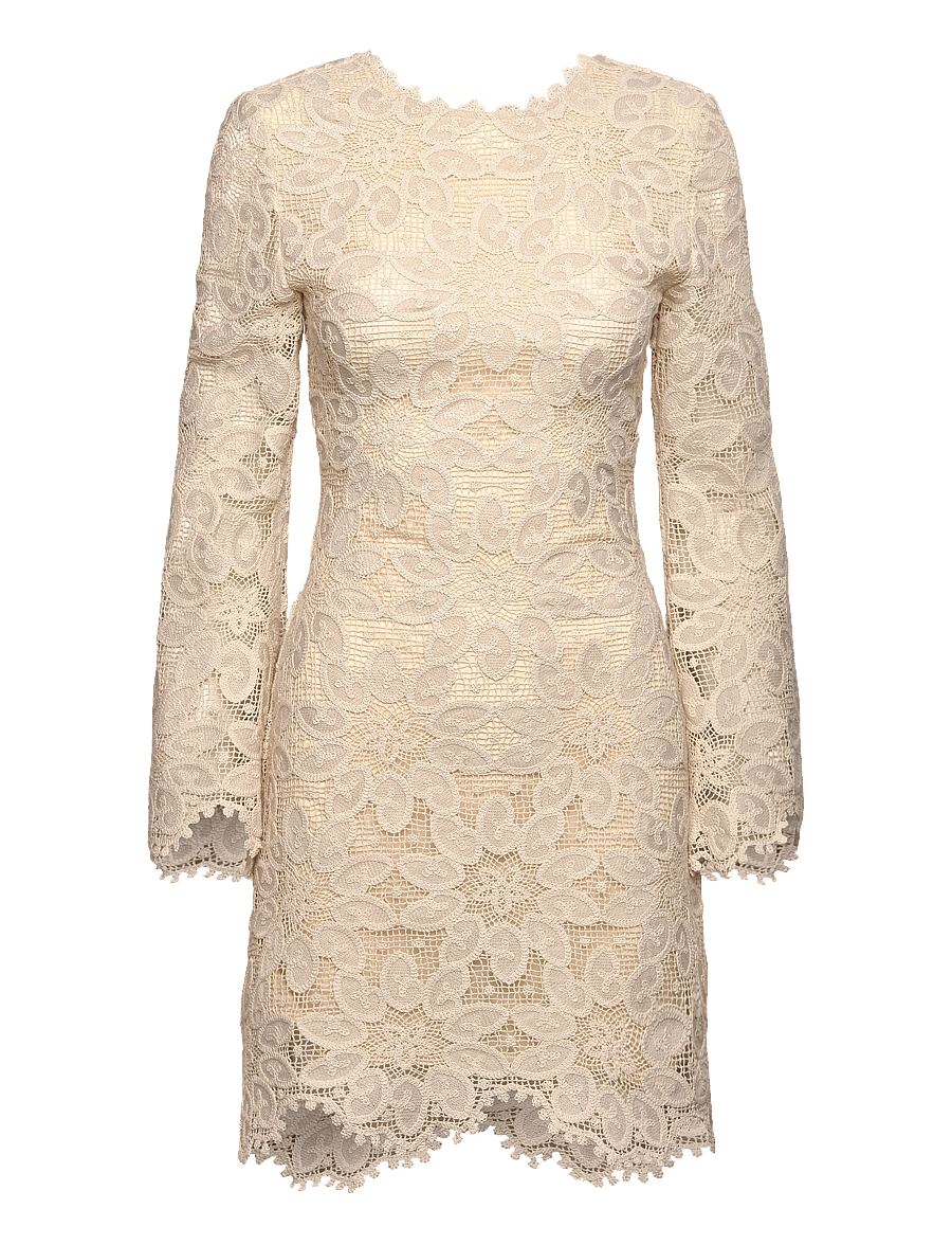Malina - Imani Guipure Lace Mini Dress - spitzenkleider - sand - 1