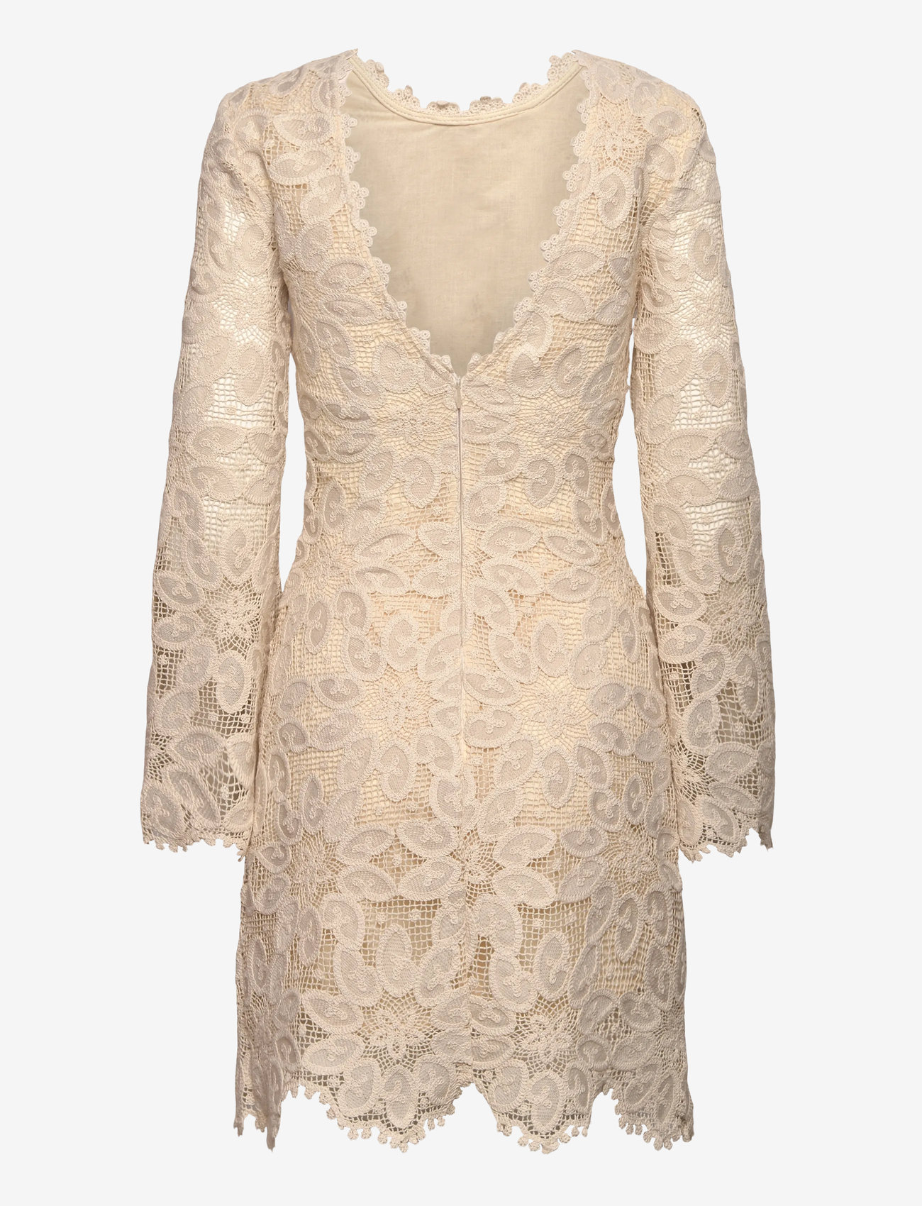 Vallée lys Embroidered Lace Mini Dress