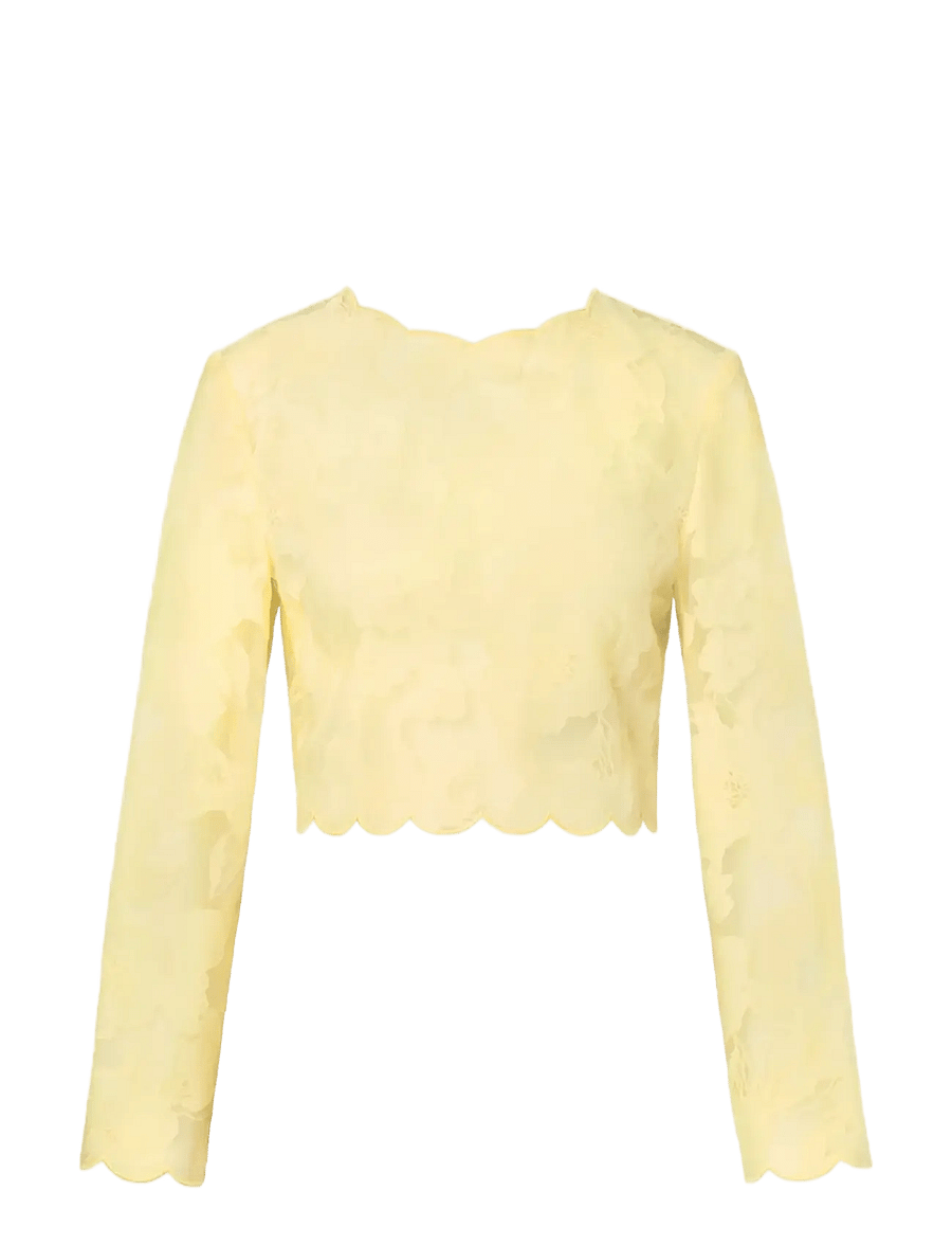 Malina - Ciara Lace Top - långärmade toppar - light lemon - 1