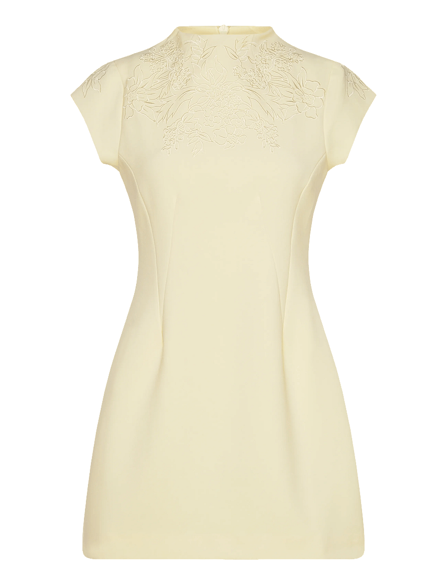 Malina - Bethanny Embroidered Fitted Mini Dress - konfirmationstøj - light lemon - 1