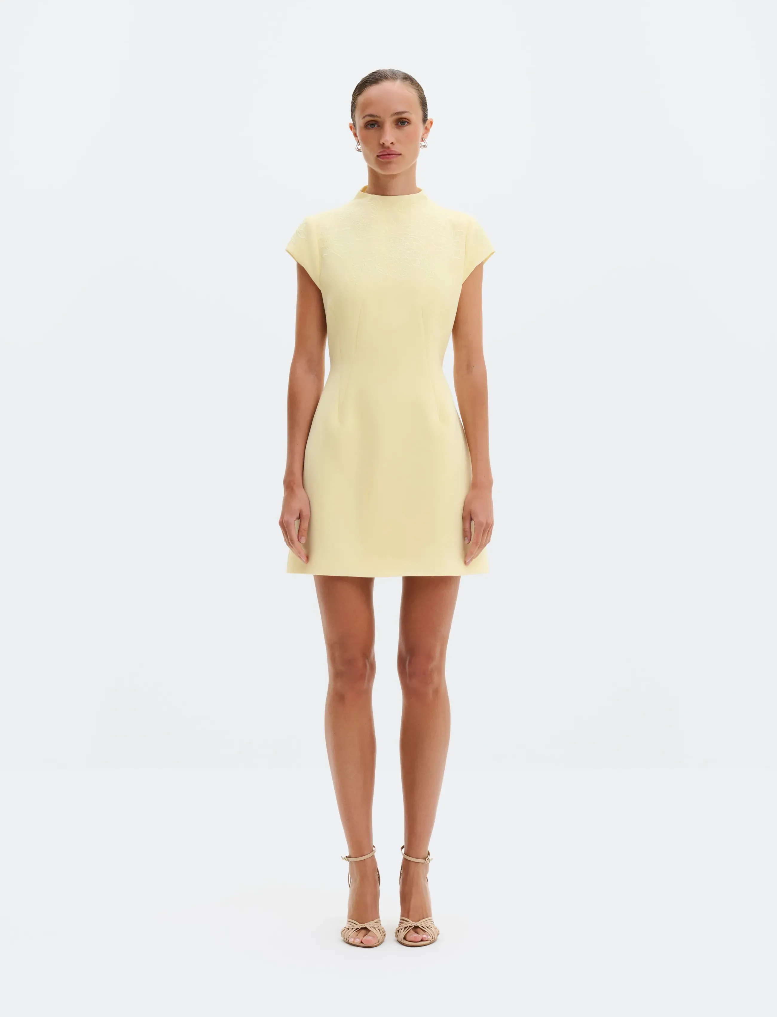 Bethanny Embroidered Fitted Mini Dress 3