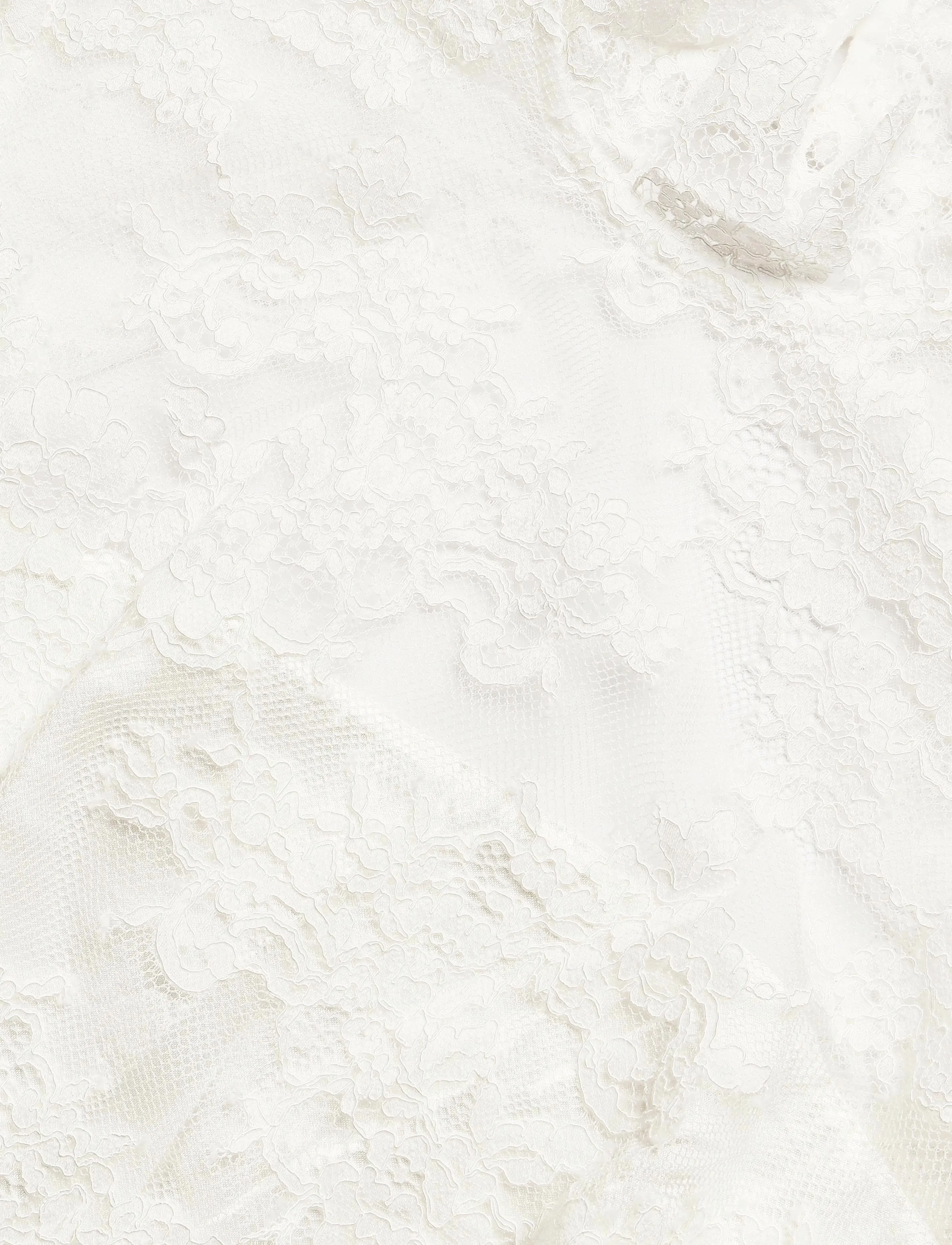 Malina - Leonore Long Sleeved Lace Bridal Gown - lace dresses - ivory - 5