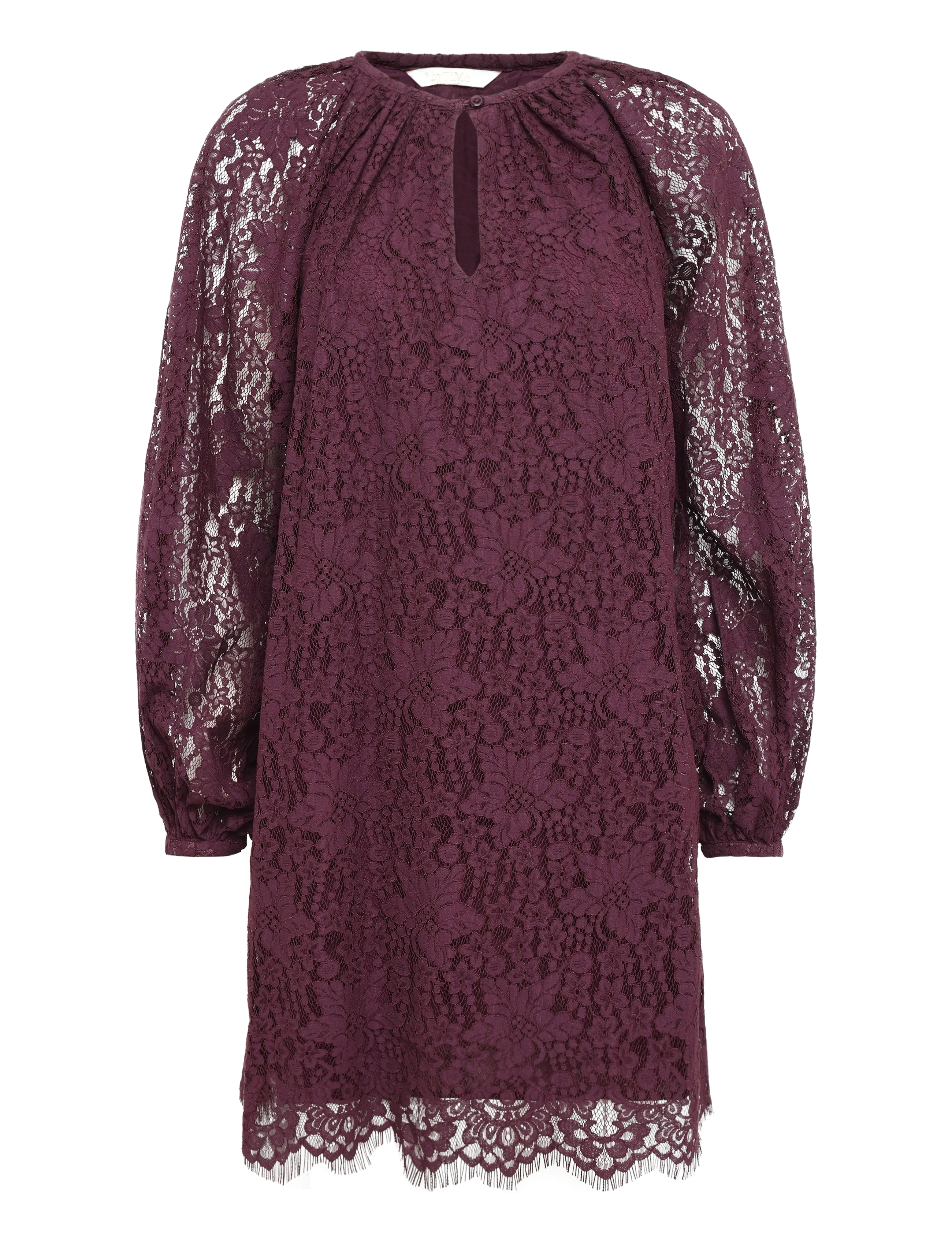 by Ti Mo - Lace Shift Dress - 043 - burgundy - 1