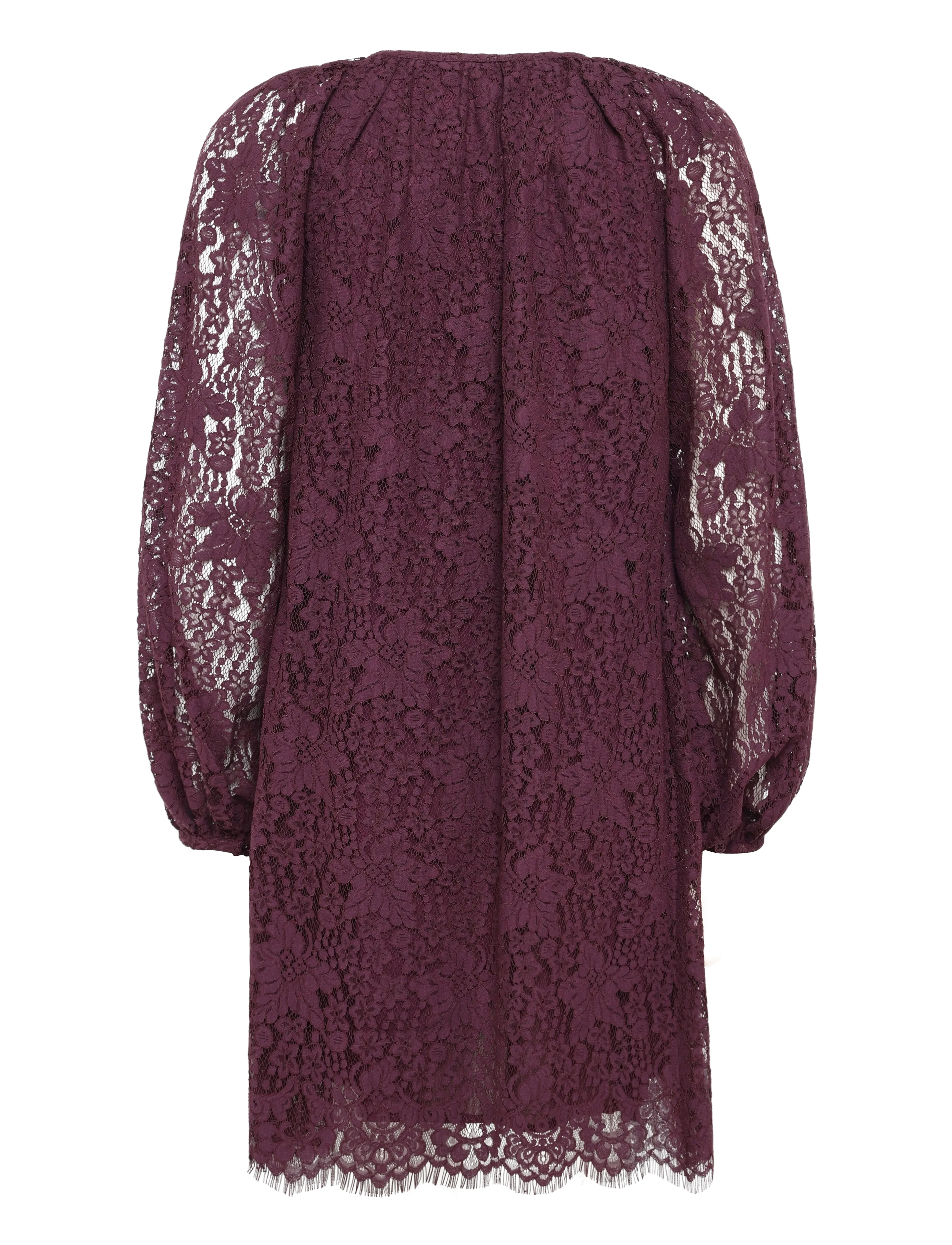 by Ti Mo - Lace Shift Dress - 043 - burgundy - 2