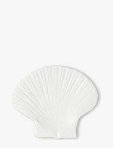 Plate Shell M, Byon