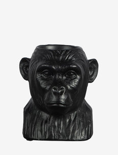 Decoration Gorilla, Byon