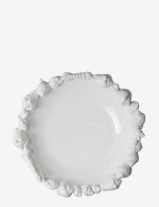 Plate Shell, Byon