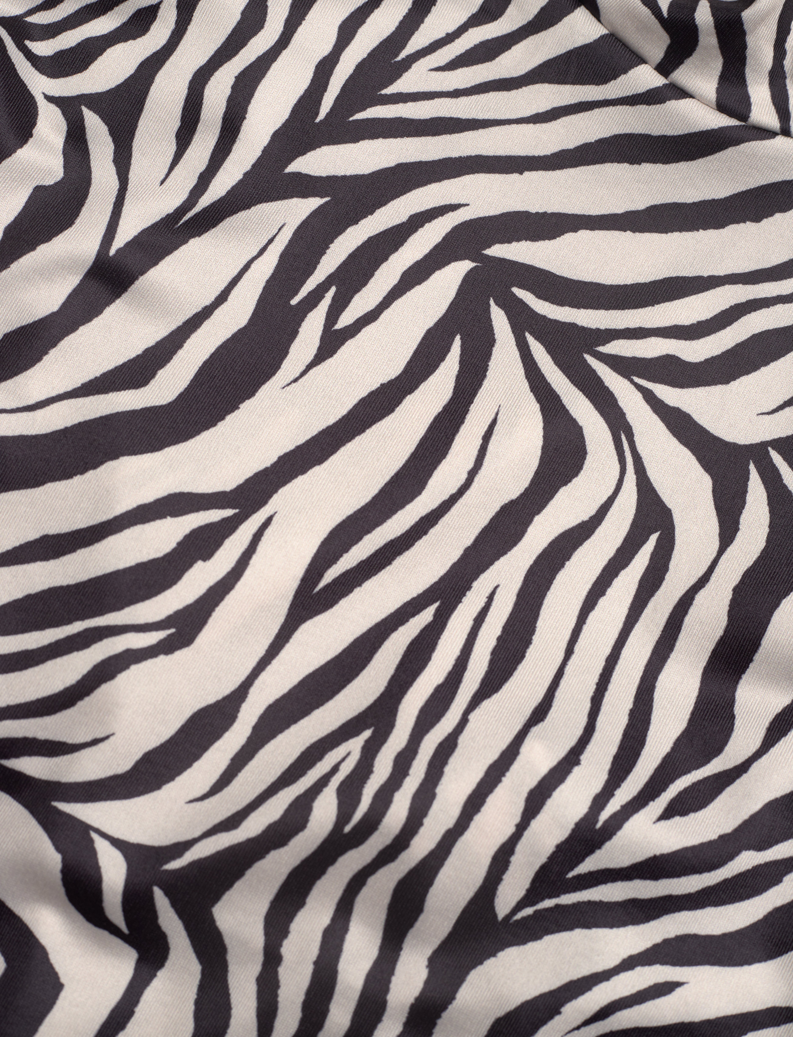 bzr - Regina Molisa dress - zebra print - 3