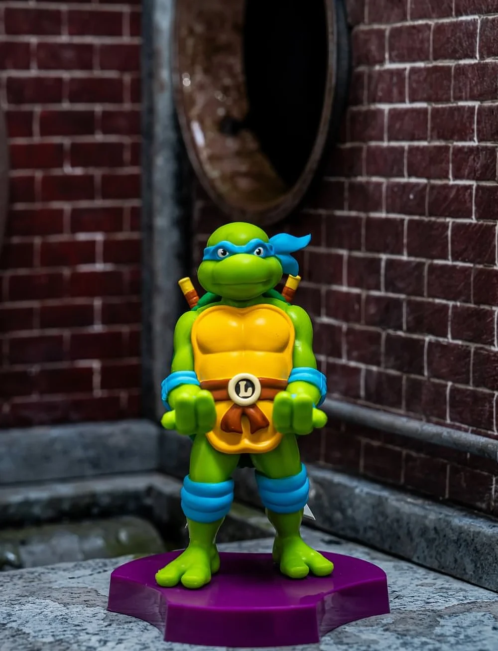 Ninja Turtles - HOLDEM - TMNT LEONARDO - halter & ladestationen - multi-coloured - 0