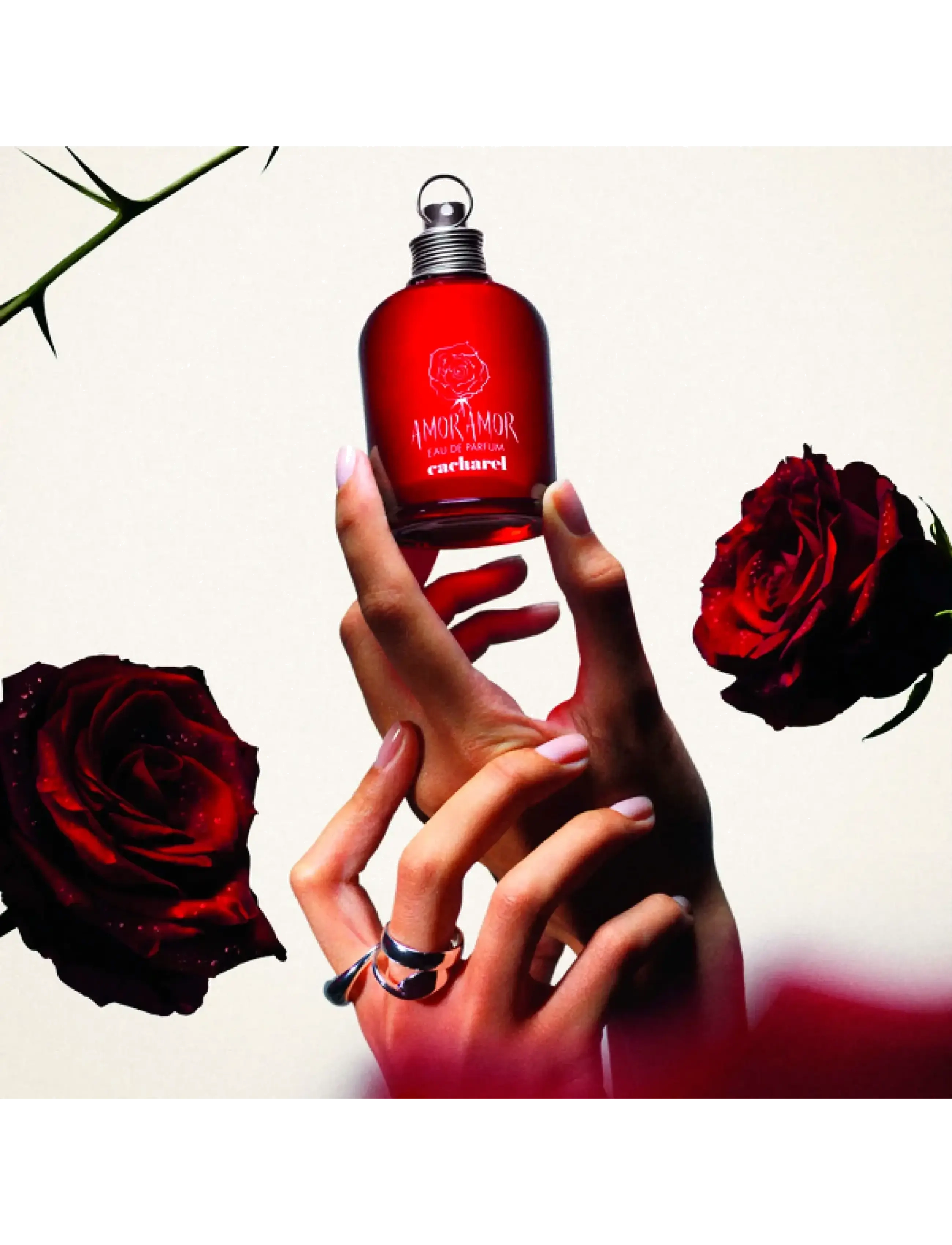 Cacharel - CACHAREL Amor Amor Eau de parfume 100 ML - til hende  - clear - 4