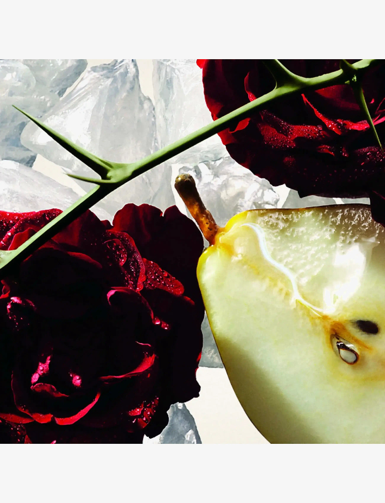 Cacharel - CACHAREL Amor Amor Eau de parfume 30 ML - for her - clear - 2